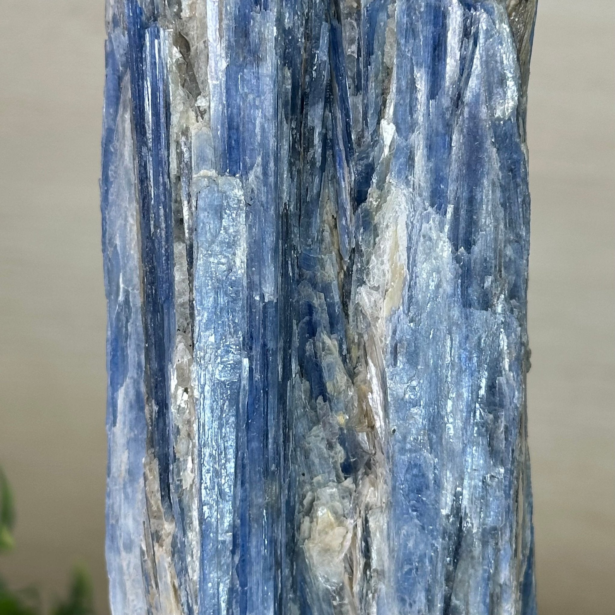 Kyanite Crystal on Metal Stand, 1.8 lbs & 10.1" Tall #6010 - 0004 - Brazil GemsBrazil GemsKyanite Crystal on Metal Stand, 1.8 lbs & 10.1" Tall #6010 - 0004Clusters on Fixed Bases6010 - 0004