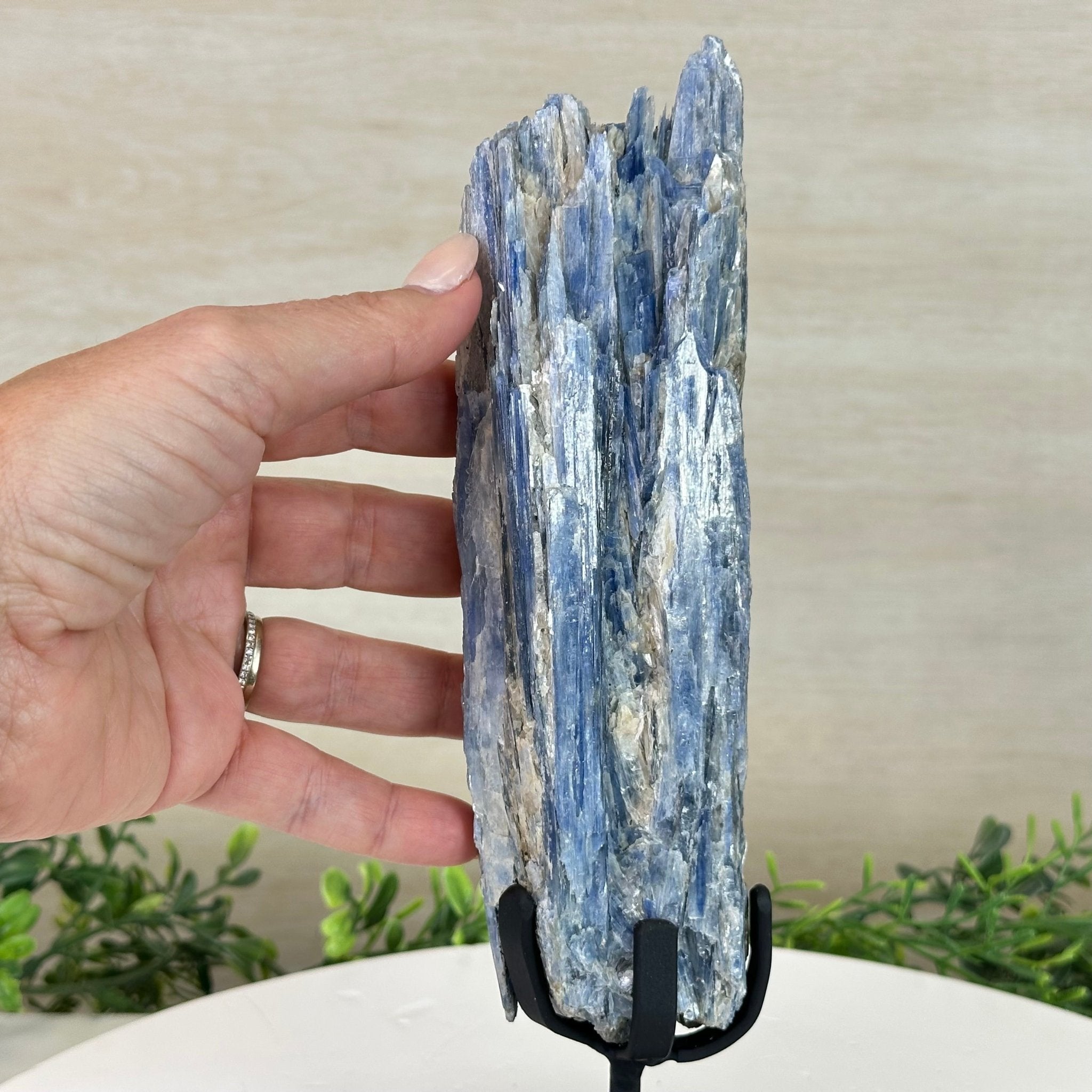 Kyanite Crystal on Metal Stand, 1.8 lbs & 10.1" Tall #6010 - 0004 - Brazil GemsBrazil GemsKyanite Crystal on Metal Stand, 1.8 lbs & 10.1" Tall #6010 - 0004Clusters on Fixed Bases6010 - 0004