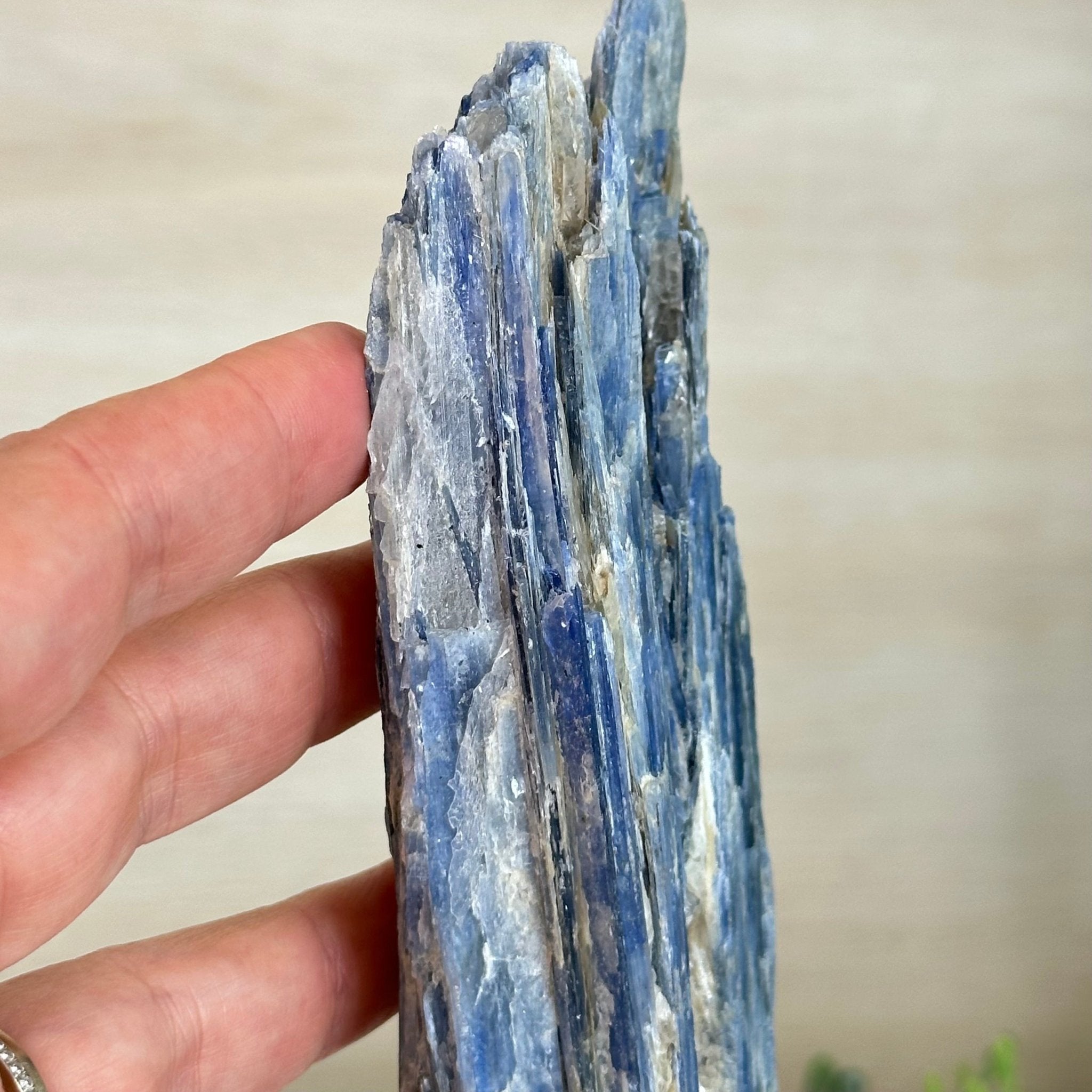 Kyanite Crystal on Metal Stand, 1.8 lbs & 10.1" Tall #6010 - 0004 - Brazil GemsBrazil GemsKyanite Crystal on Metal Stand, 1.8 lbs & 10.1" Tall #6010 - 0004Clusters on Fixed Bases6010 - 0004