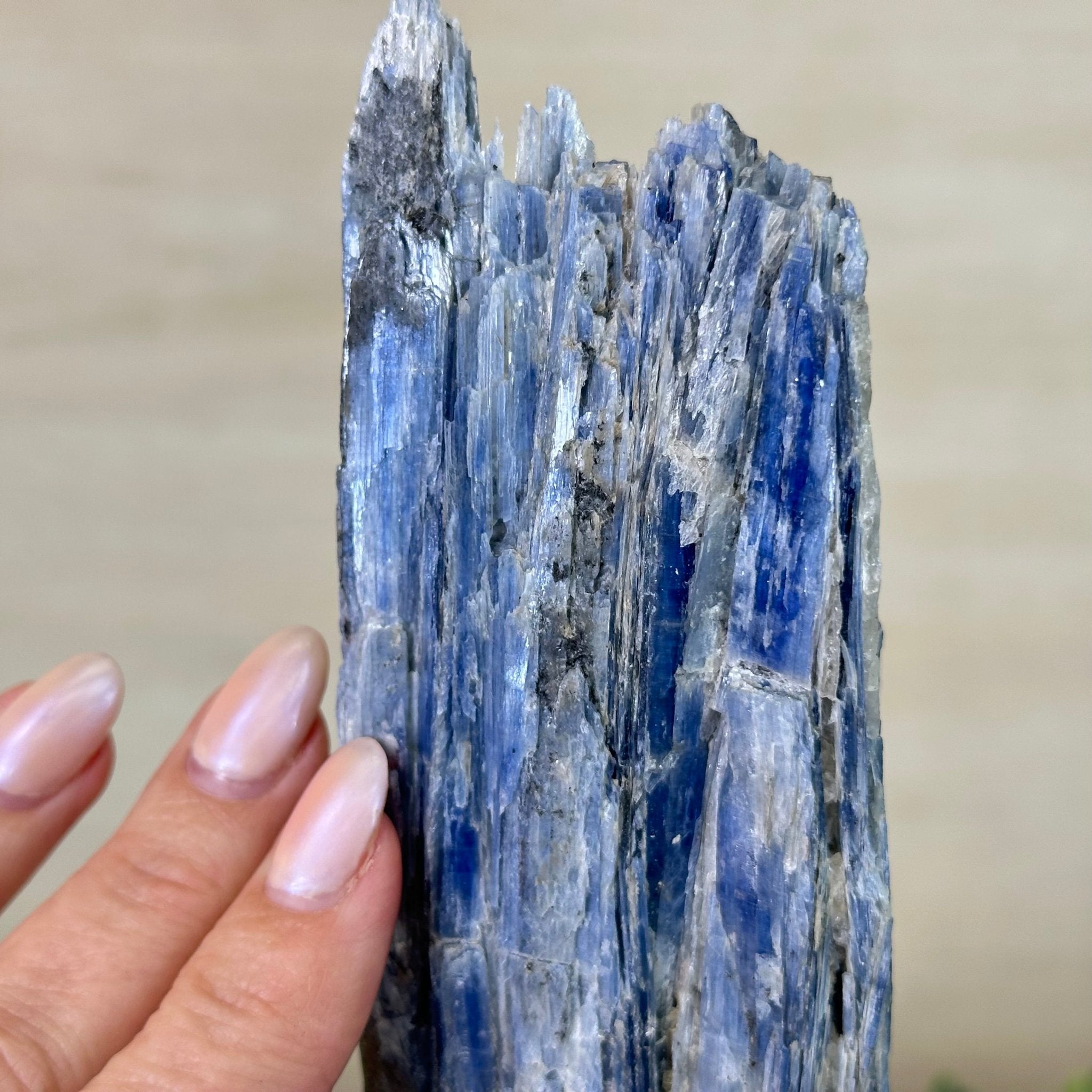 Kyanite Crystal on Metal Stand, 1.8 lbs & 10.1" Tall #6010 - 0004 - Brazil GemsBrazil GemsKyanite Crystal on Metal Stand, 1.8 lbs & 10.1" Tall #6010 - 0004Clusters on Fixed Bases6010 - 0004