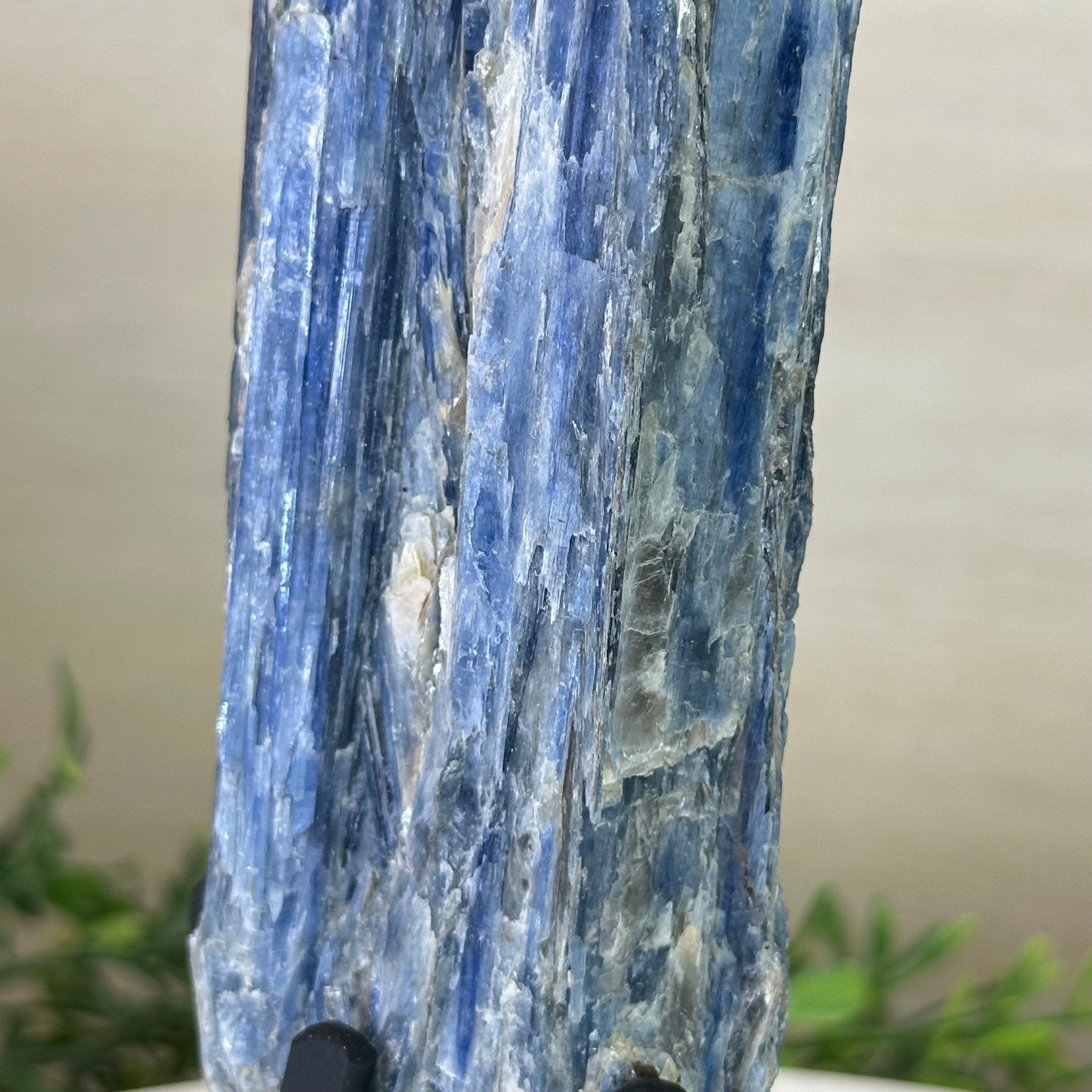 Kyanite Crystal on Metal Stand, 1.8 lbs & 10.1" Tall #6010 - 0004 - Brazil GemsBrazil GemsKyanite Crystal on Metal Stand, 1.8 lbs & 10.1" Tall #6010 - 0004Clusters on Fixed Bases6010 - 0004