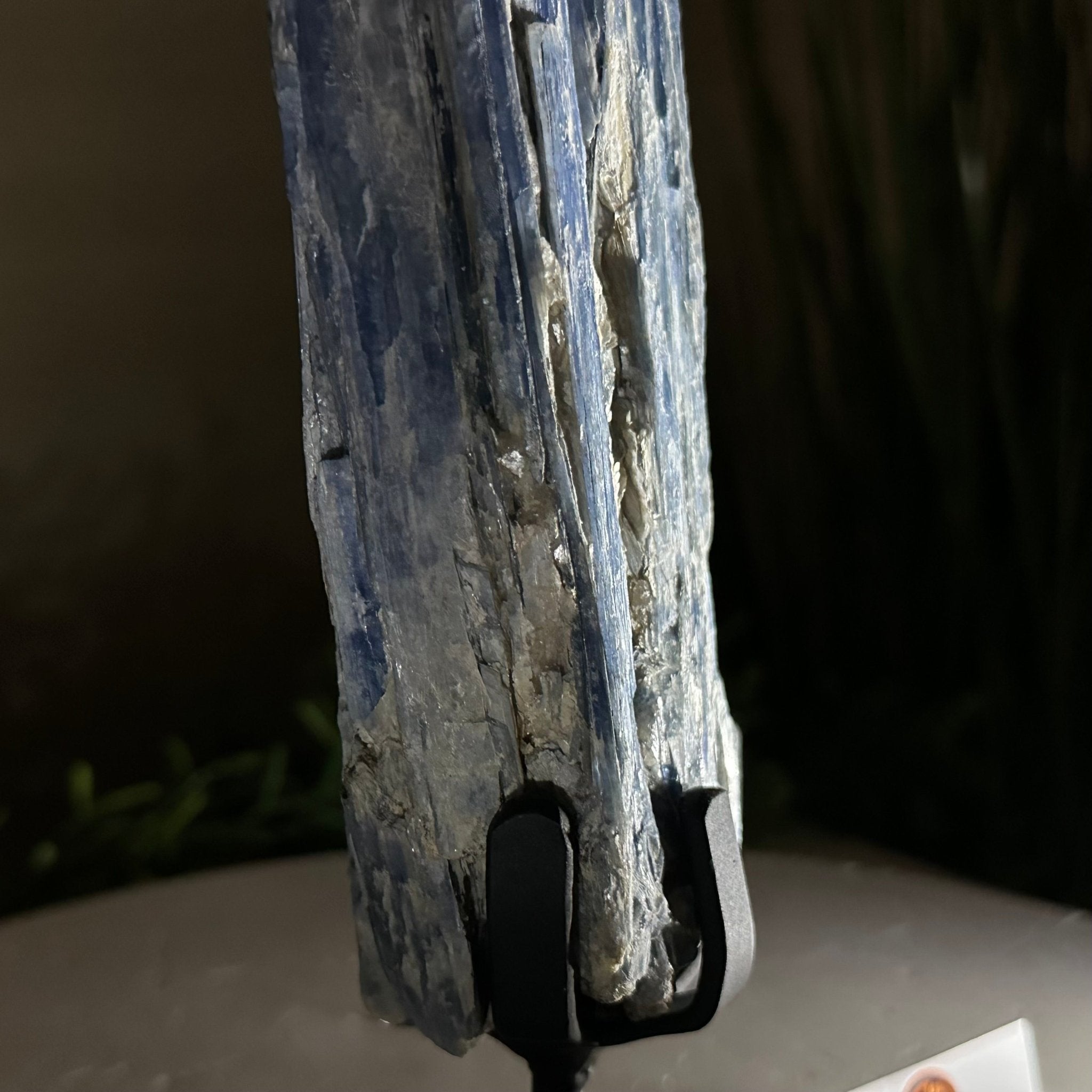 Kyanite Crystal on Metal Stand, 1.8 lbs & 10.1" Tall #6010 - 0004 - Brazil GemsBrazil GemsKyanite Crystal on Metal Stand, 1.8 lbs & 10.1" Tall #6010 - 0004Clusters on Fixed Bases6010 - 0004