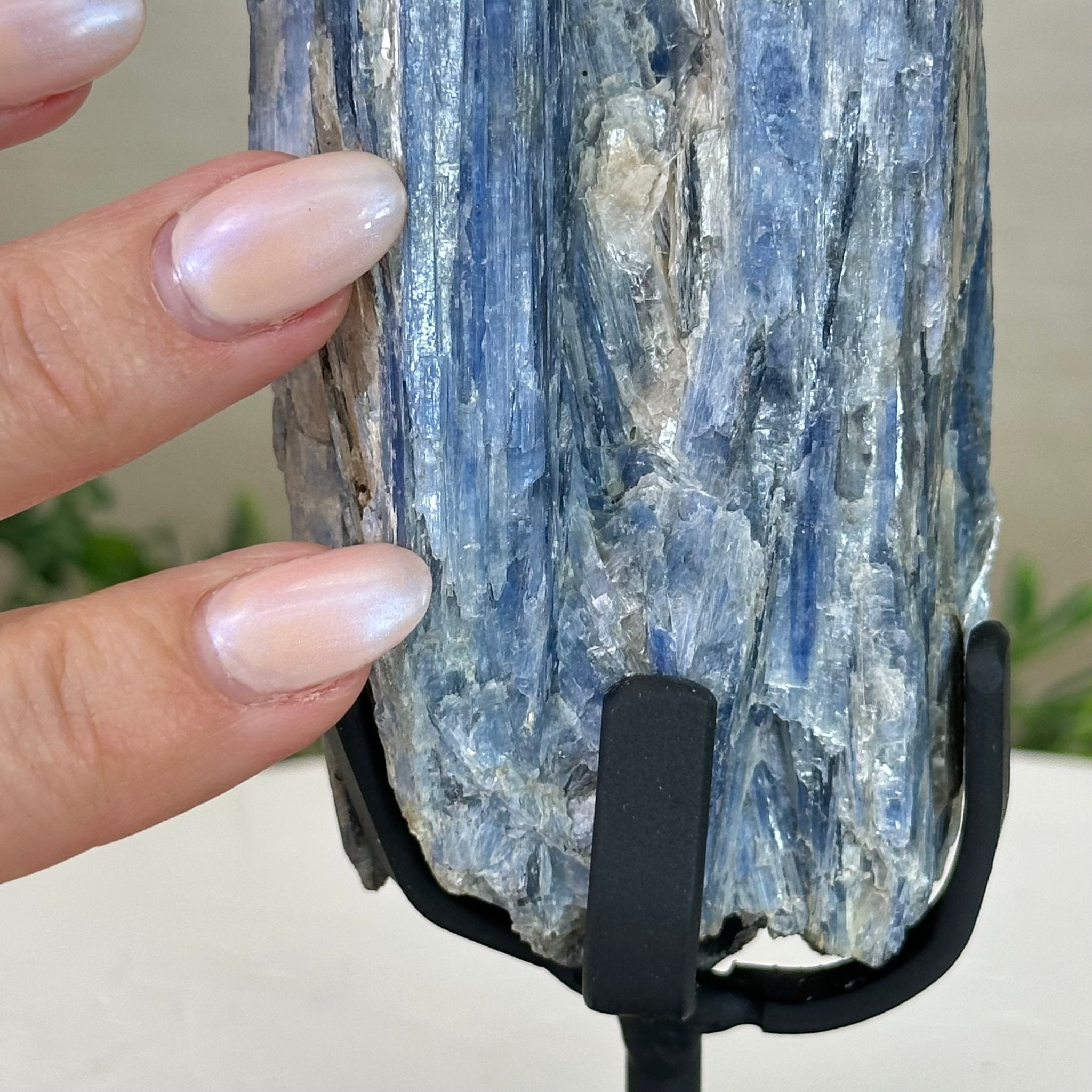 Kyanite Crystal on Metal Stand, 1.8 lbs & 10.1" Tall #6010 - 0004 - Brazil GemsBrazil GemsKyanite Crystal on Metal Stand, 1.8 lbs & 10.1" Tall #6010 - 0004Clusters on Fixed Bases6010 - 0004