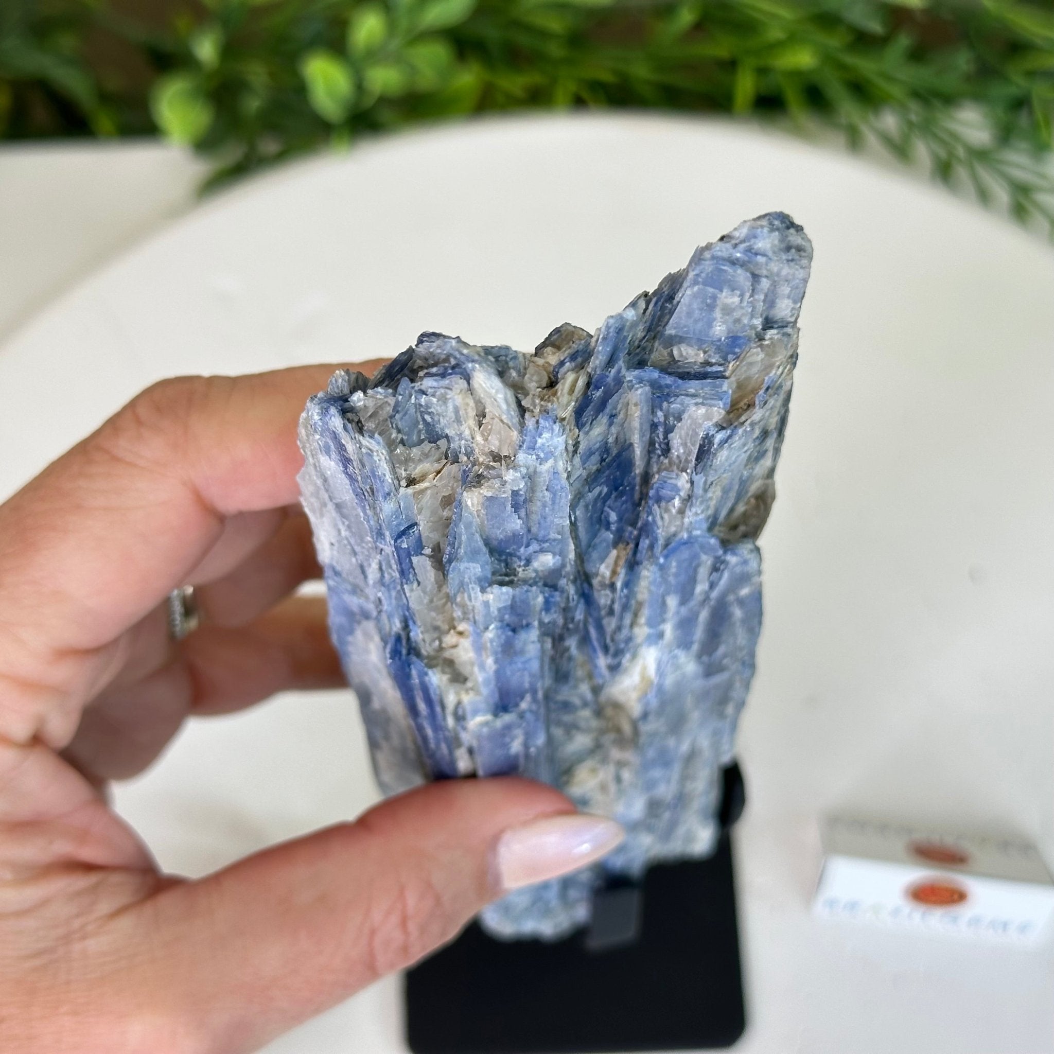 Kyanite Crystal on Metal Stand, 1.8 lbs & 10.1" Tall #6010 - 0004 - Brazil GemsBrazil GemsKyanite Crystal on Metal Stand, 1.8 lbs & 10.1" Tall #6010 - 0004Clusters on Fixed Bases6010 - 0004