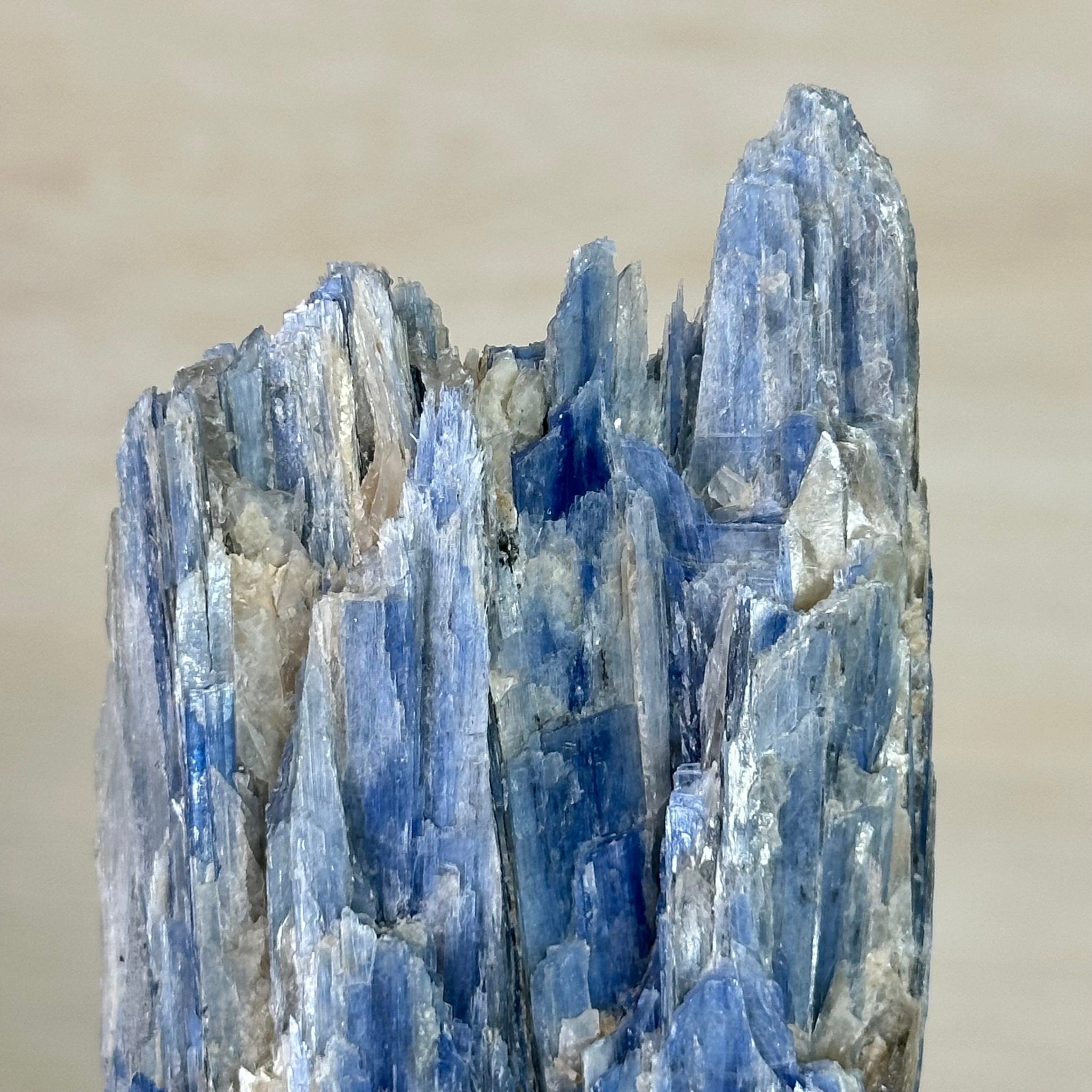 Kyanite Crystal on Metal Stand, 1.8 lbs & 10.1" Tall #6010 - 0004 - Brazil GemsBrazil GemsKyanite Crystal on Metal Stand, 1.8 lbs & 10.1" Tall #6010 - 0004Clusters on Fixed Bases6010 - 0004