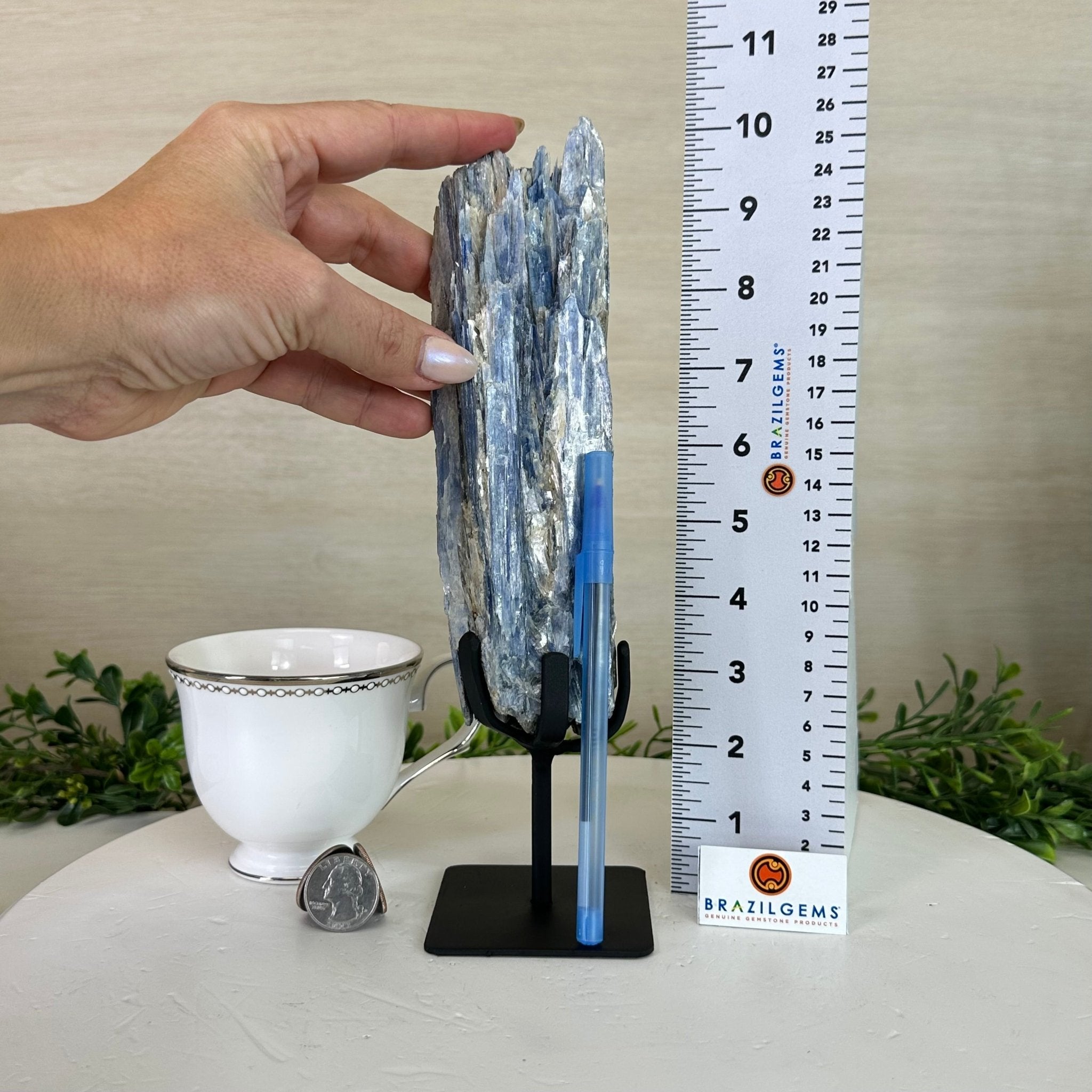 Kyanite Crystal on Metal Stand, 1.8 lbs & 10.1" Tall #6010 - 0004 - Brazil GemsBrazil GemsKyanite Crystal on Metal Stand, 1.8 lbs & 10.1" Tall #6010 - 0004Clusters on Fixed Bases6010 - 0004