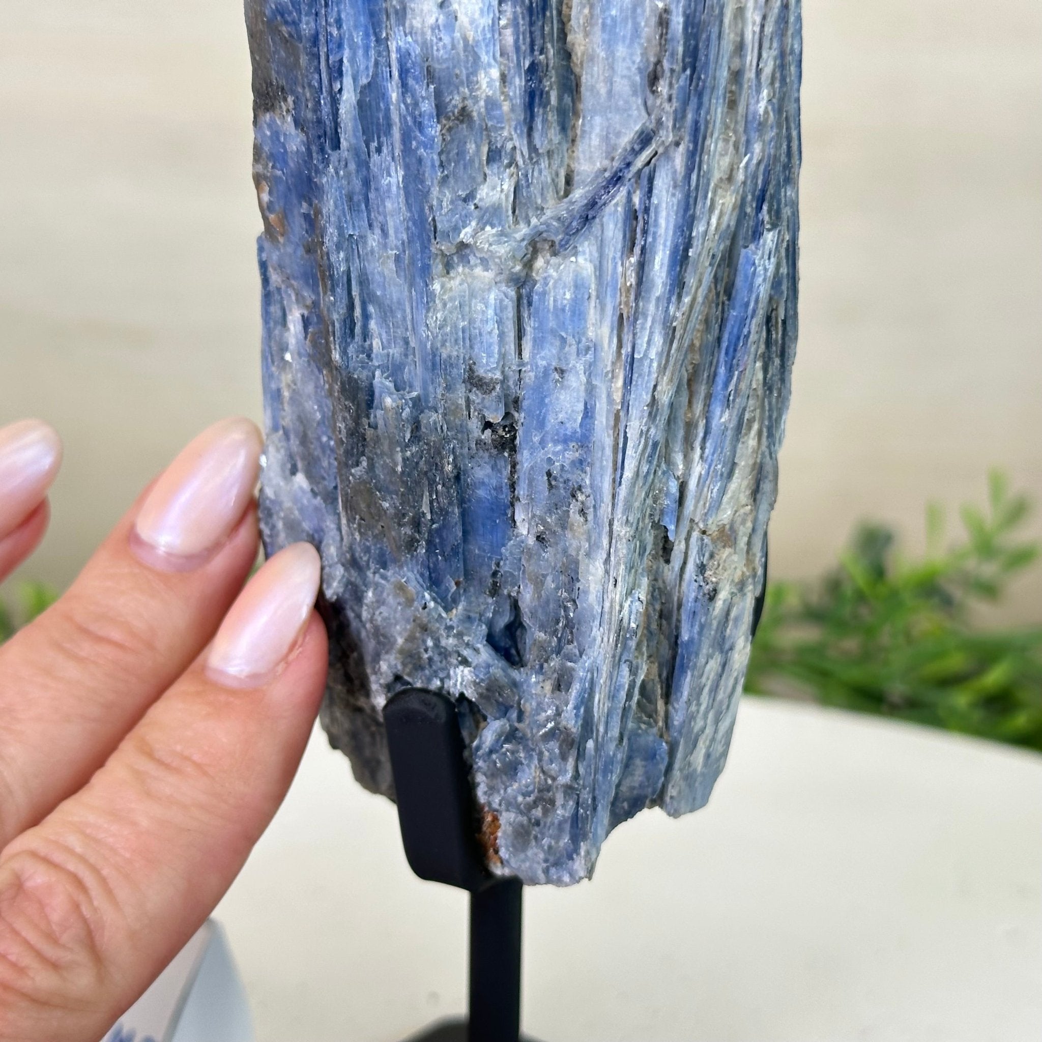 Kyanite Crystal on Metal Stand, 1.8 lbs & 10.1" Tall #6010 - 0004 - Brazil GemsBrazil GemsKyanite Crystal on Metal Stand, 1.8 lbs & 10.1" Tall #6010 - 0004Clusters on Fixed Bases6010 - 0004