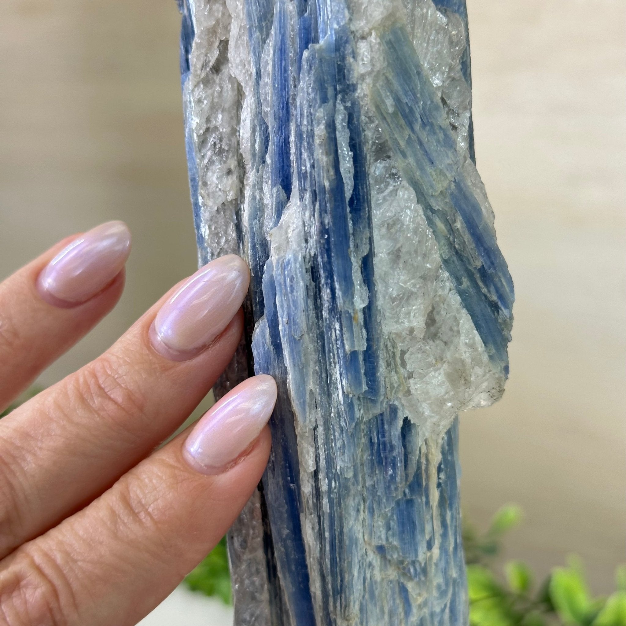 Kyanite Crystal on Metal Stand, 1.9 lbs & 10.1" Tall #6010 - 0007 - Brazil GemsBrazil GemsKyanite Crystal on Metal Stand, 1.9 lbs & 10.1" Tall #6010 - 0007Clusters on Fixed Bases6010 - 0007