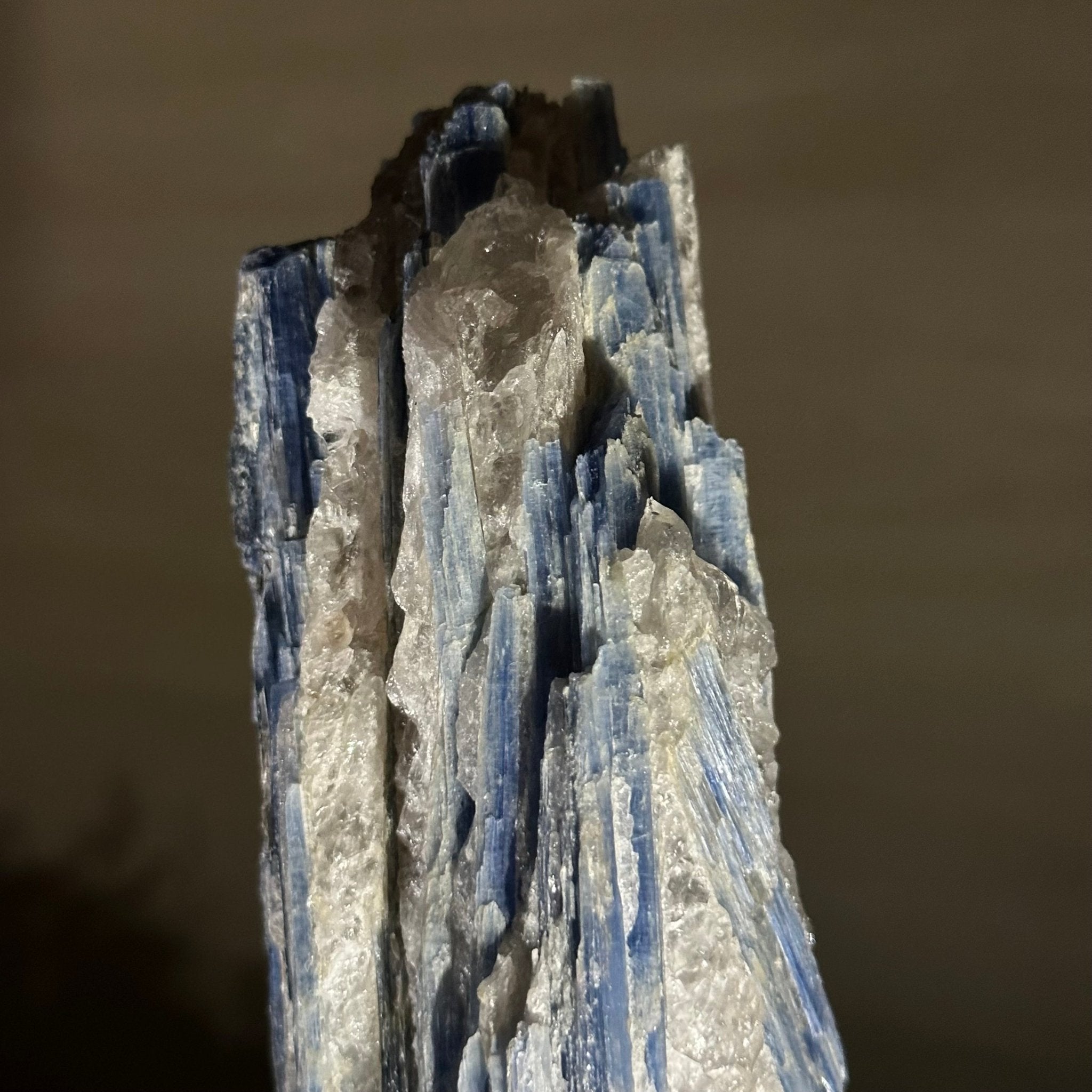 Kyanite Crystal on Metal Stand, 1.9 lbs & 10.1" Tall #6010 - 0007 - Brazil GemsBrazil GemsKyanite Crystal on Metal Stand, 1.9 lbs & 10.1" Tall #6010 - 0007Clusters on Fixed Bases6010 - 0007