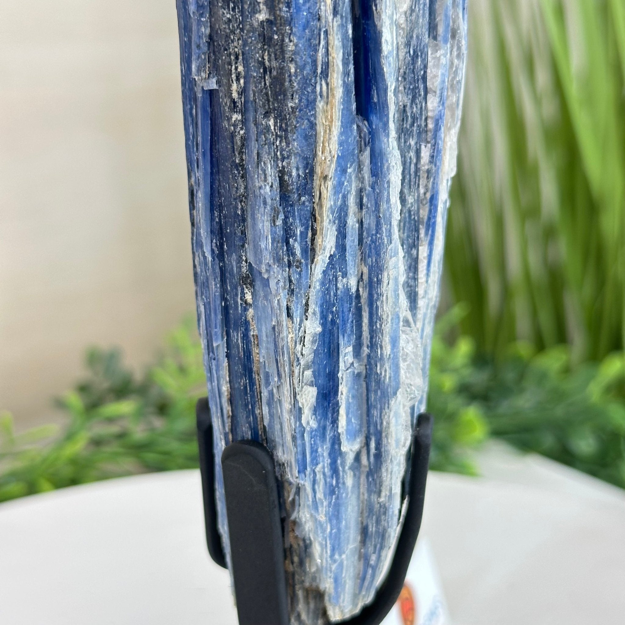 Kyanite Crystal on Metal Stand, 1.9 lbs & 10.1" Tall #6010 - 0007 - Brazil GemsBrazil GemsKyanite Crystal on Metal Stand, 1.9 lbs & 10.1" Tall #6010 - 0007Clusters on Fixed Bases6010 - 0007