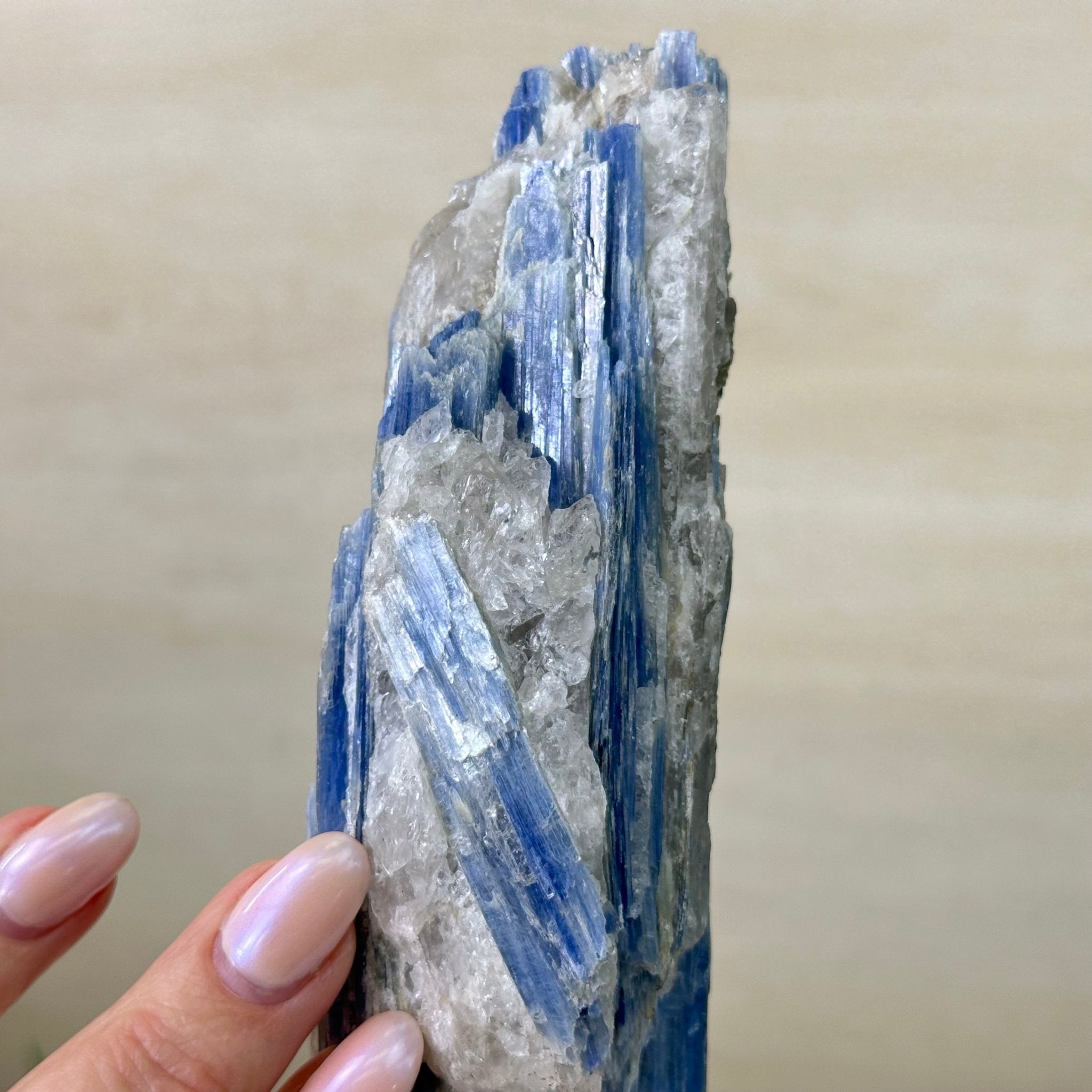 Kyanite Crystal on Metal Stand, 1.9 lbs & 10.1" Tall #6010 - 0007 - Brazil GemsBrazil GemsKyanite Crystal on Metal Stand, 1.9 lbs & 10.1" Tall #6010 - 0007Clusters on Fixed Bases6010 - 0007