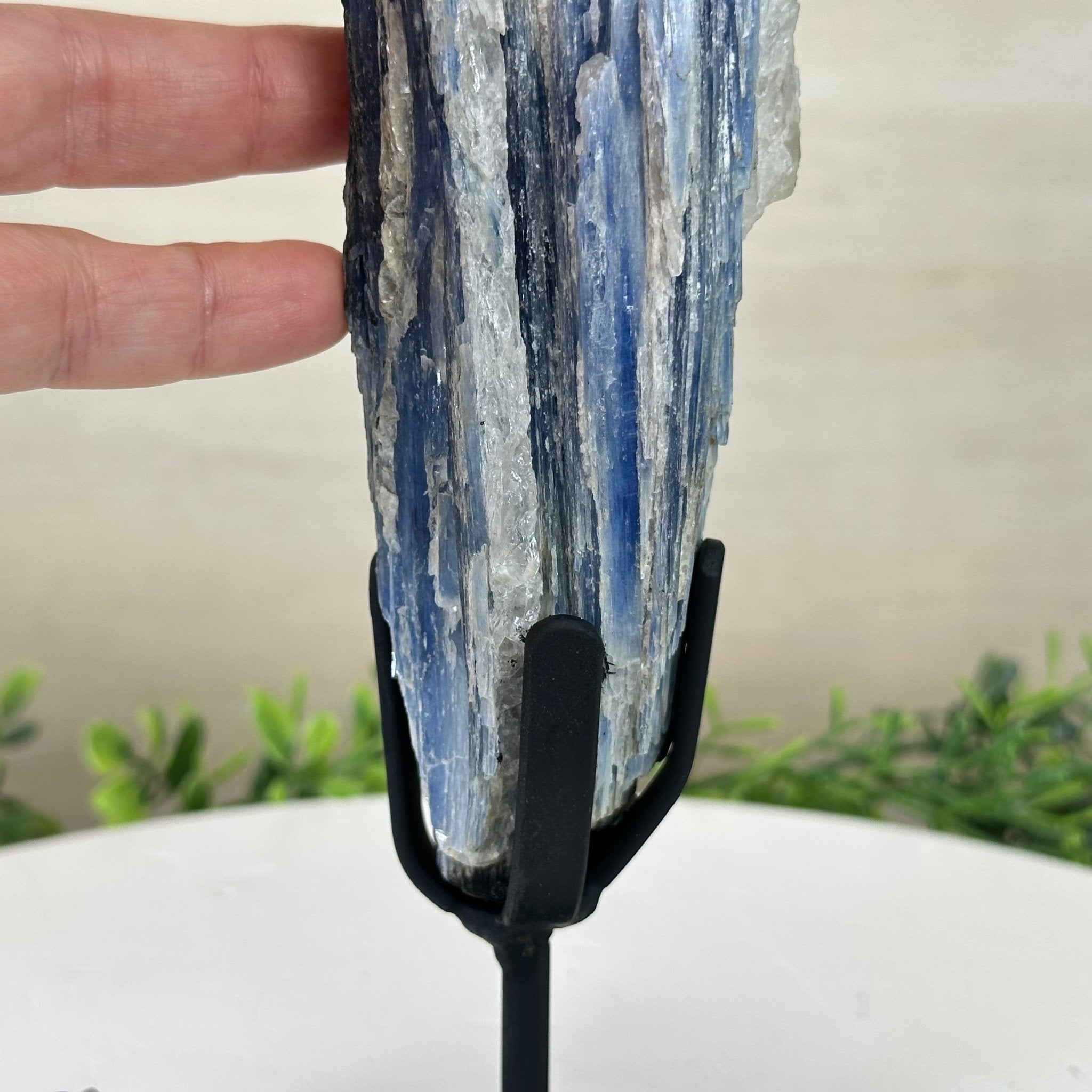 Kyanite Crystal on Metal Stand, 1.9 lbs & 10.1" Tall #6010 - 0007 - Brazil GemsBrazil GemsKyanite Crystal on Metal Stand, 1.9 lbs & 10.1" Tall #6010 - 0007Clusters on Fixed Bases6010 - 0007