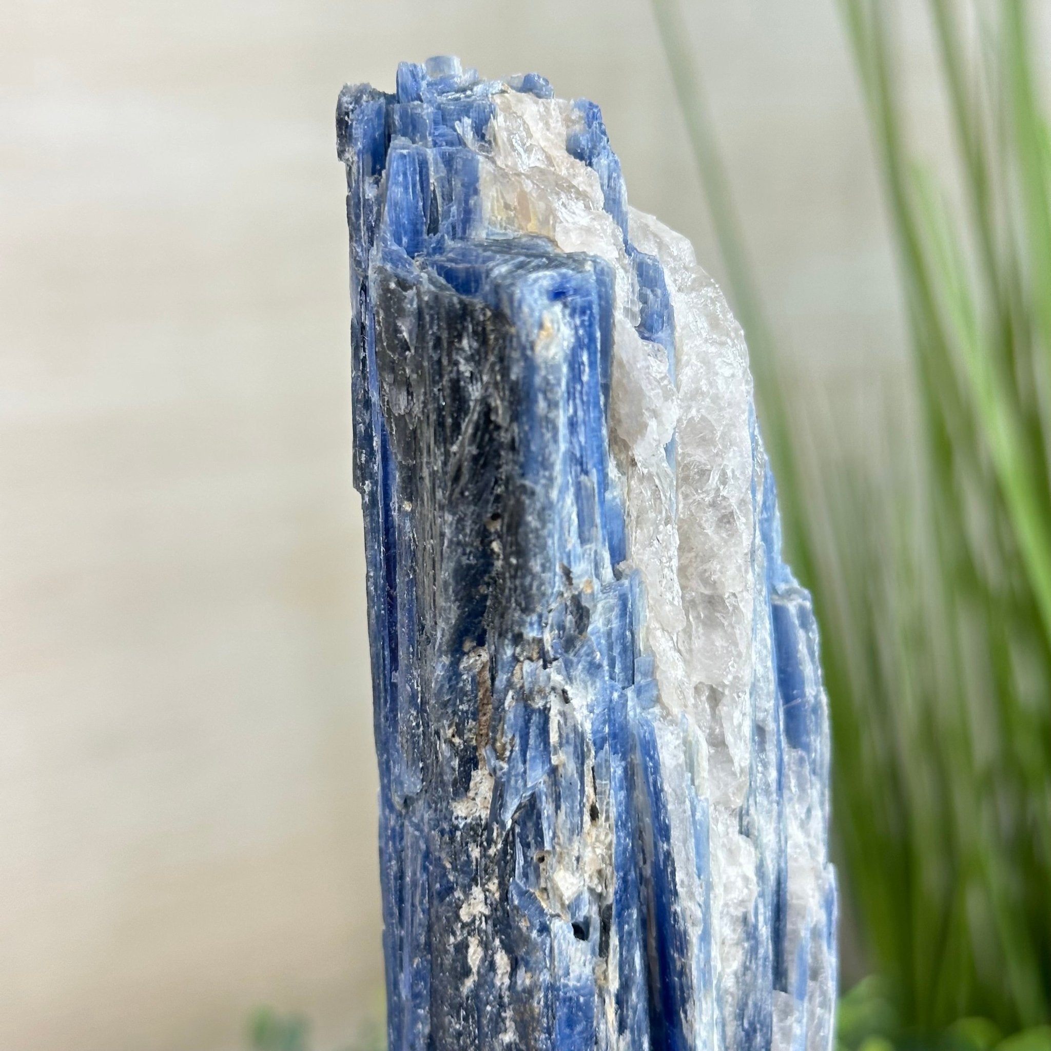 Kyanite Crystal on Metal Stand, 1.9 lbs & 10.1" Tall #6010 - 0007 - Brazil GemsBrazil GemsKyanite Crystal on Metal Stand, 1.9 lbs & 10.1" Tall #6010 - 0007Clusters on Fixed Bases6010 - 0007