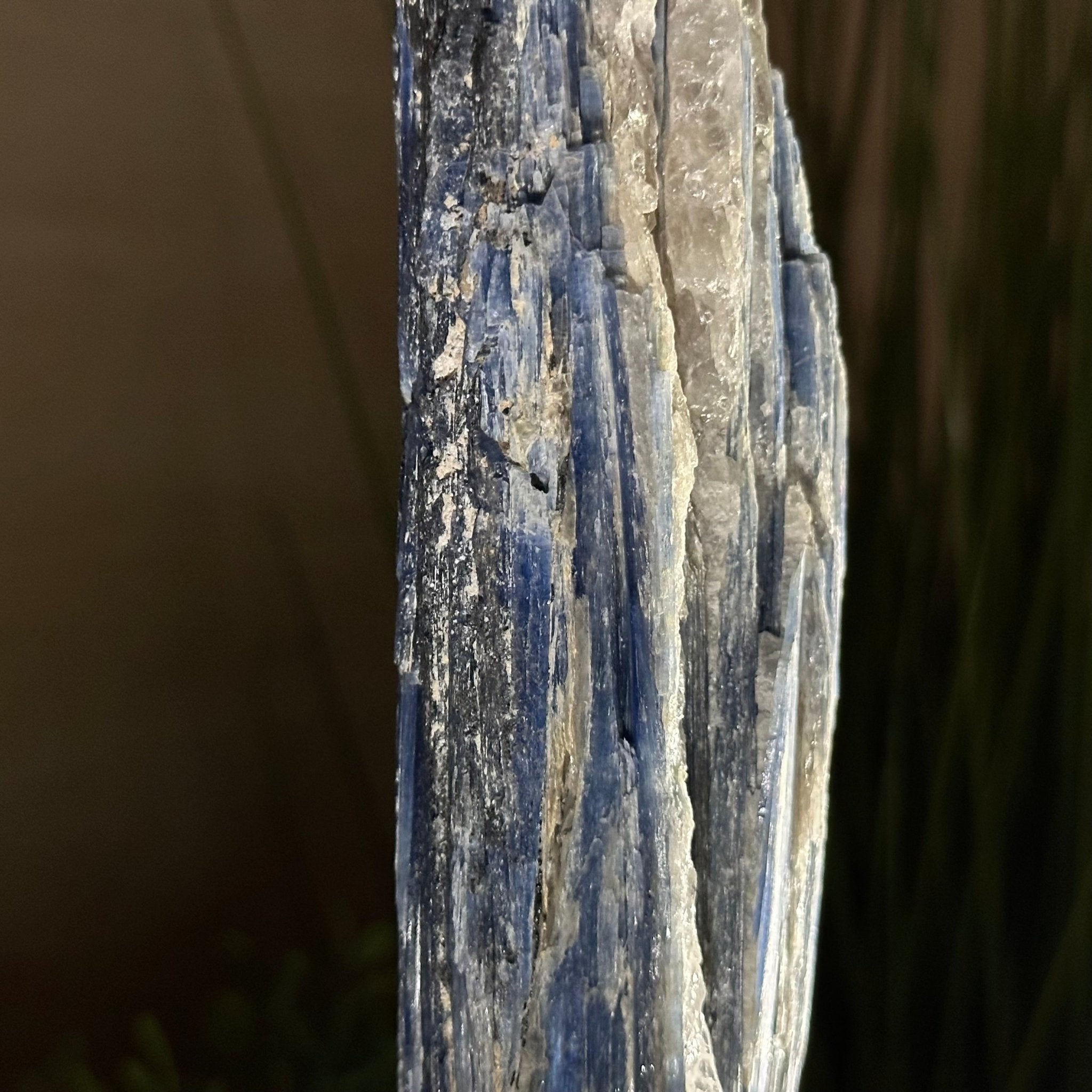 Kyanite Crystal on Metal Stand, 1.9 lbs & 10.1" Tall #6010 - 0007 - Brazil GemsBrazil GemsKyanite Crystal on Metal Stand, 1.9 lbs & 10.1" Tall #6010 - 0007Clusters on Fixed Bases6010 - 0007