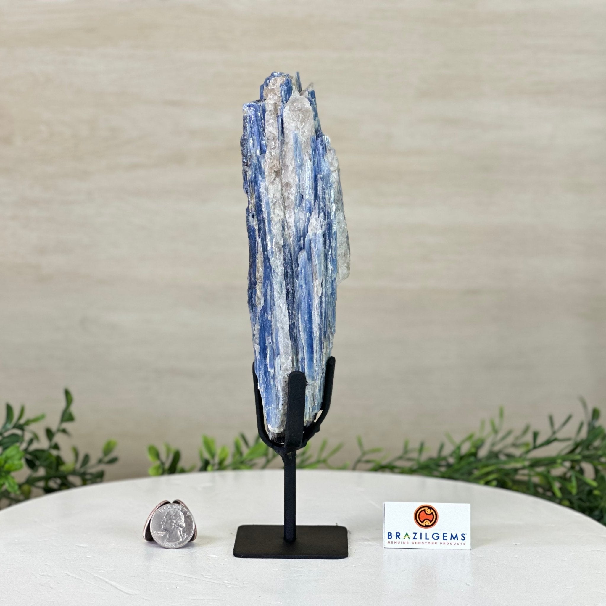 Kyanite Crystal on Metal Stand, 1.9 lbs & 10.1" Tall #6010 - 0007 - Brazil GemsBrazil GemsKyanite Crystal on Metal Stand, 1.9 lbs & 10.1" Tall #6010 - 0007Clusters on Fixed Bases6010 - 0007