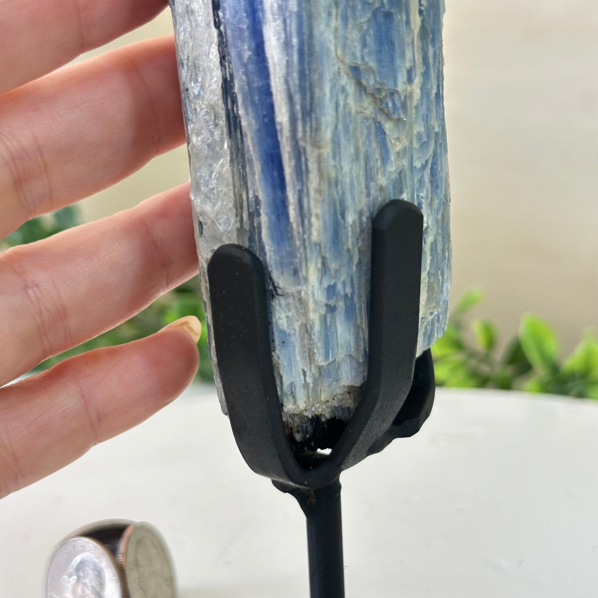 Kyanite Crystal on Metal Stand, 1.9 lbs & 10.1" Tall #6010 - 0007 - Brazil GemsBrazil GemsKyanite Crystal on Metal Stand, 1.9 lbs & 10.1" Tall #6010 - 0007Clusters on Fixed Bases6010 - 0007