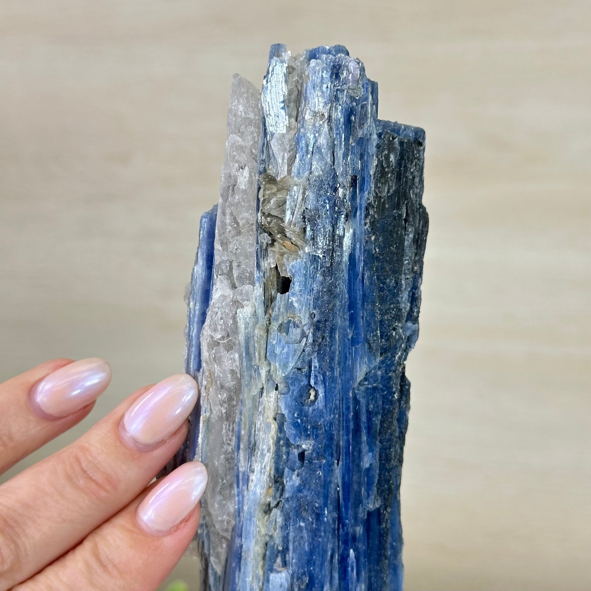 Kyanite Crystal on Metal Stand, 1.9 lbs & 10.1" Tall #6010 - 0007 - Brazil GemsBrazil GemsKyanite Crystal on Metal Stand, 1.9 lbs & 10.1" Tall #6010 - 0007Clusters on Fixed Bases6010 - 0007