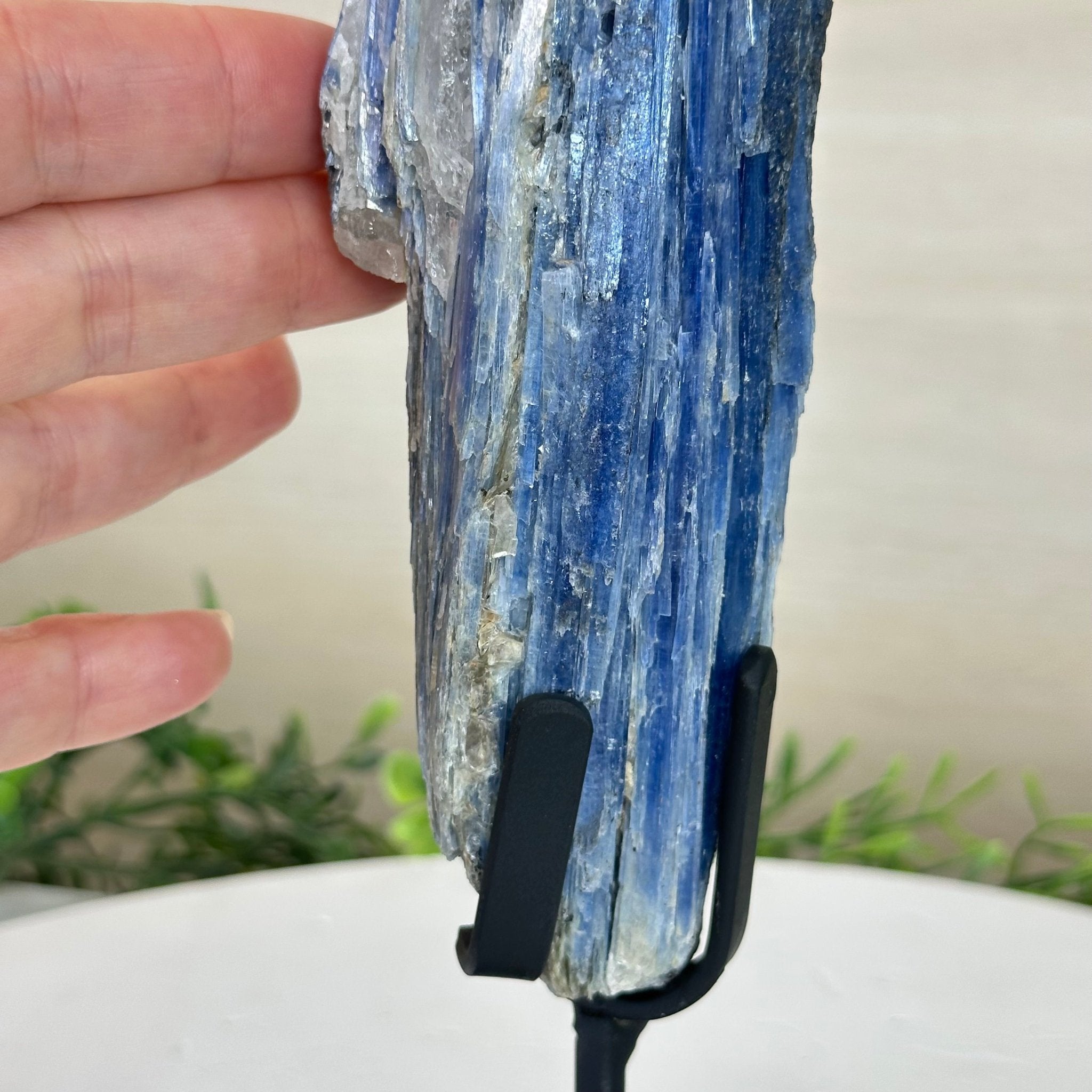 Kyanite Crystal on Metal Stand, 1.9 lbs & 10.1" Tall #6010 - 0007 - Brazil GemsBrazil GemsKyanite Crystal on Metal Stand, 1.9 lbs & 10.1" Tall #6010 - 0007Clusters on Fixed Bases6010 - 0007