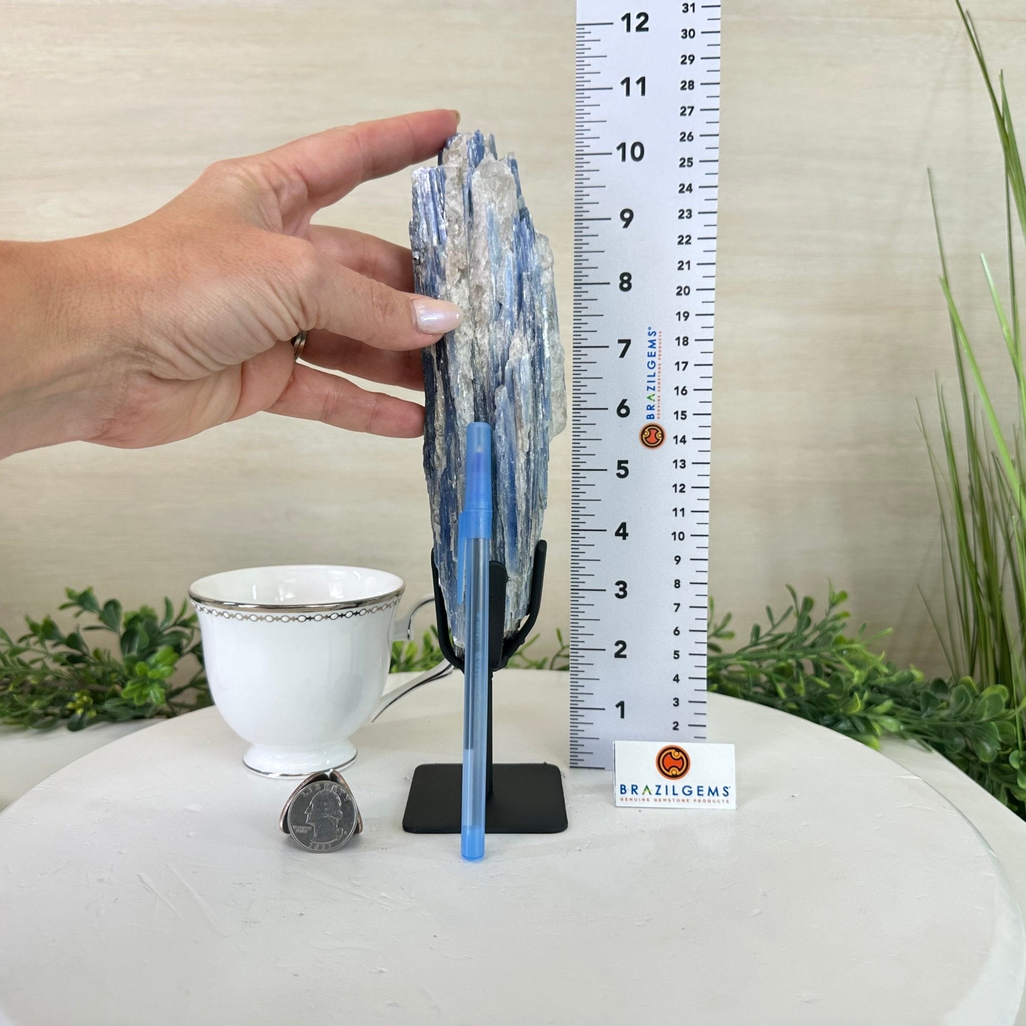 Kyanite Crystal on Metal Stand, 1.9 lbs & 10.1" Tall #6010 - 0007 - Brazil GemsBrazil GemsKyanite Crystal on Metal Stand, 1.9 lbs & 10.1" Tall #6010 - 0007Clusters on Fixed Bases6010 - 0007