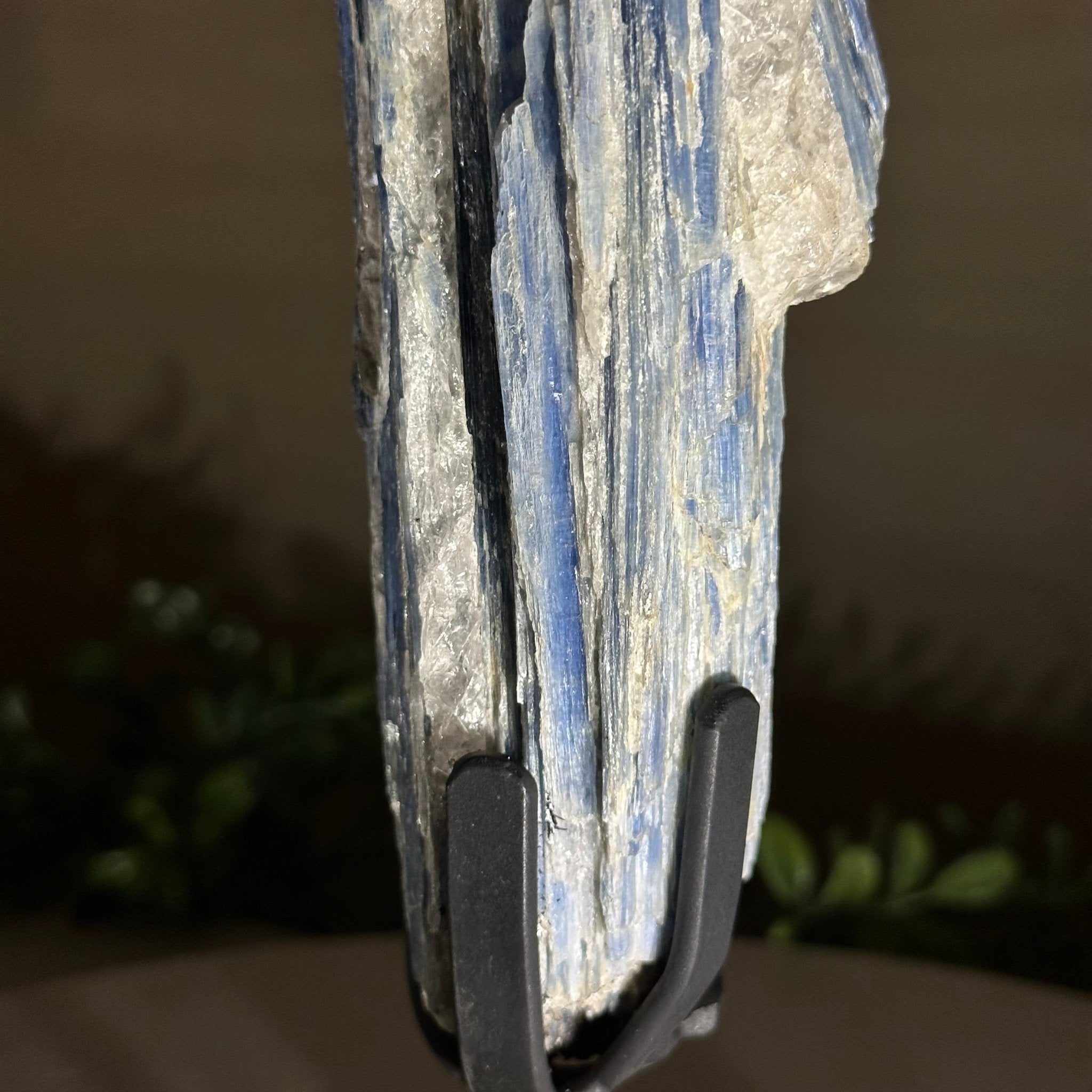 Kyanite Crystal on Metal Stand, 1.9 lbs & 10.1" Tall #6010 - 0007 - Brazil GemsBrazil GemsKyanite Crystal on Metal Stand, 1.9 lbs & 10.1" Tall #6010 - 0007Clusters on Fixed Bases6010 - 0007