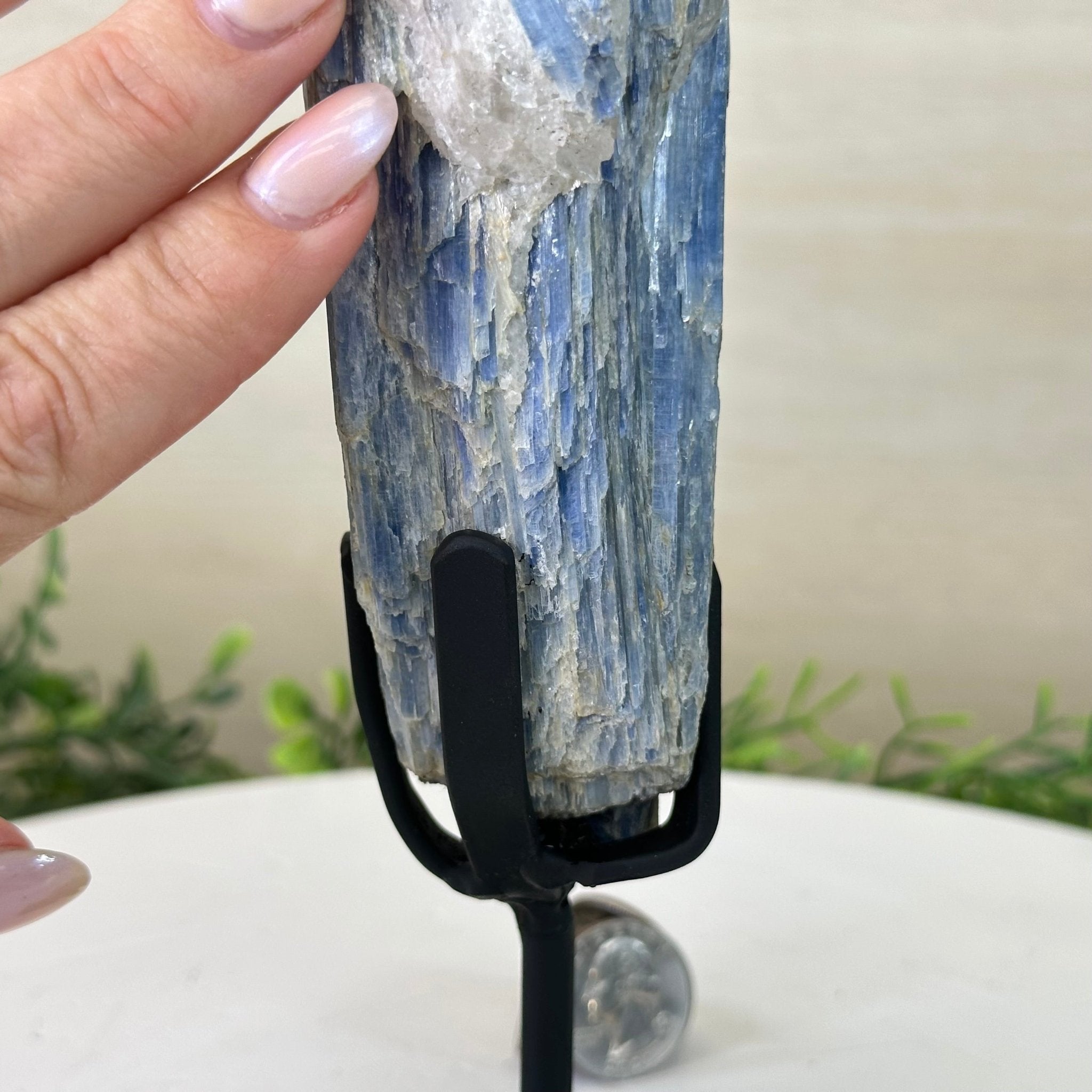 Kyanite Crystal on Metal Stand, 1.9 lbs & 10.1" Tall #6010 - 0007 - Brazil GemsBrazil GemsKyanite Crystal on Metal Stand, 1.9 lbs & 10.1" Tall #6010 - 0007Clusters on Fixed Bases6010 - 0007