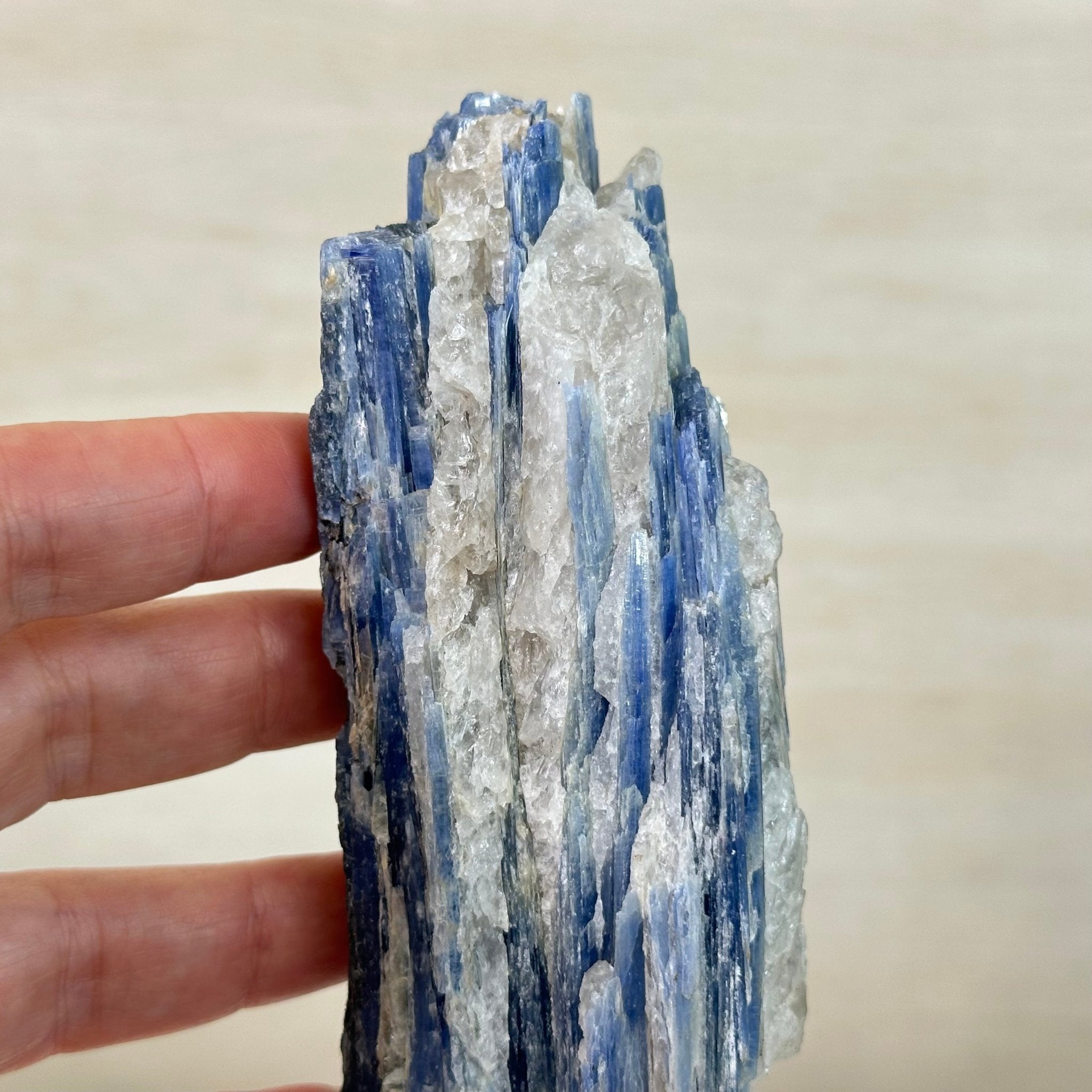 Kyanite Crystal on Metal Stand, 1.9 lbs & 10.1" Tall #6010 - 0007 - Brazil GemsBrazil GemsKyanite Crystal on Metal Stand, 1.9 lbs & 10.1" Tall #6010 - 0007Clusters on Fixed Bases6010 - 0007