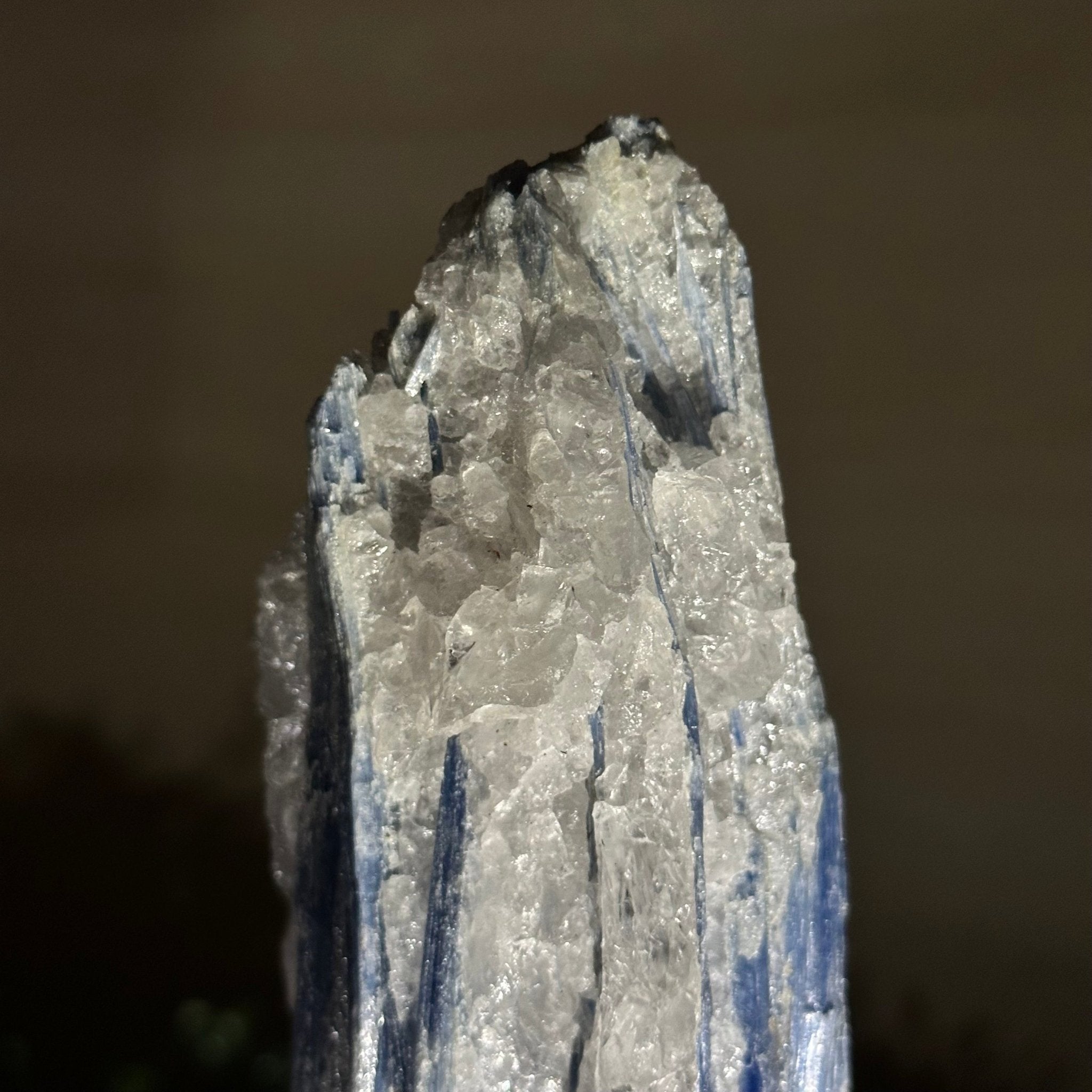 Kyanite Crystal on Metal Stand, 1.9 lbs & 9.7" Tall #6010 - 0005 - Brazil GemsBrazil GemsKyanite Crystal on Metal Stand, 1.9 lbs & 9.7" Tall #6010 - 0005Clusters on Fixed Bases6010 - 0005