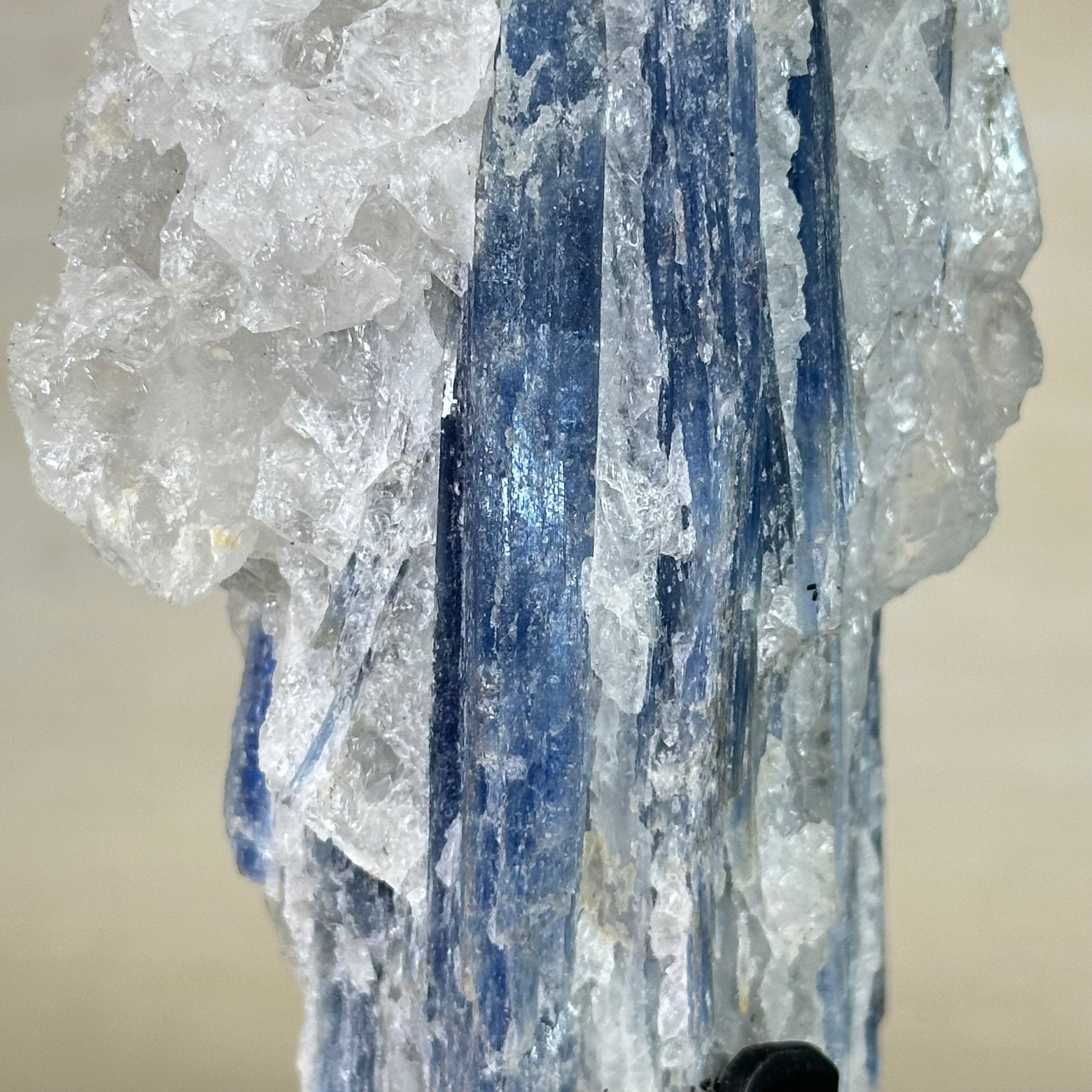 Kyanite Crystal on Metal Stand, 1.9 lbs & 9.7" Tall #6010 - 0005 - Brazil GemsBrazil GemsKyanite Crystal on Metal Stand, 1.9 lbs & 9.7" Tall #6010 - 0005Clusters on Fixed Bases6010 - 0005