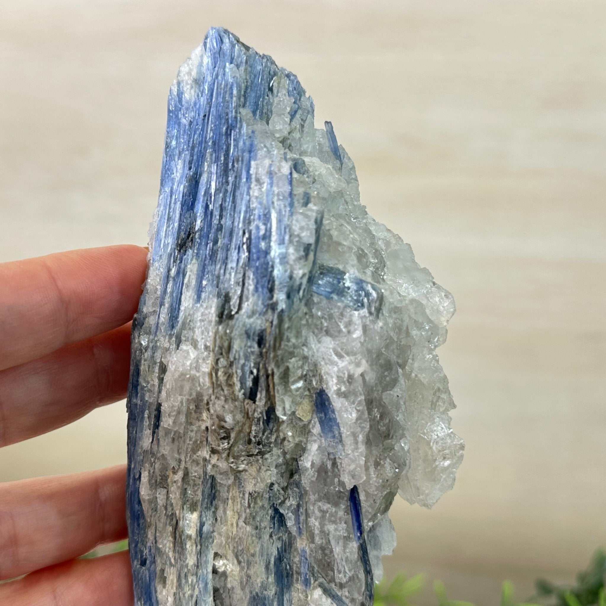 Kyanite Crystal on Metal Stand, 1.9 lbs & 9.7" Tall #6010 - 0005 - Brazil GemsBrazil GemsKyanite Crystal on Metal Stand, 1.9 lbs & 9.7" Tall #6010 - 0005Clusters on Fixed Bases6010 - 0005