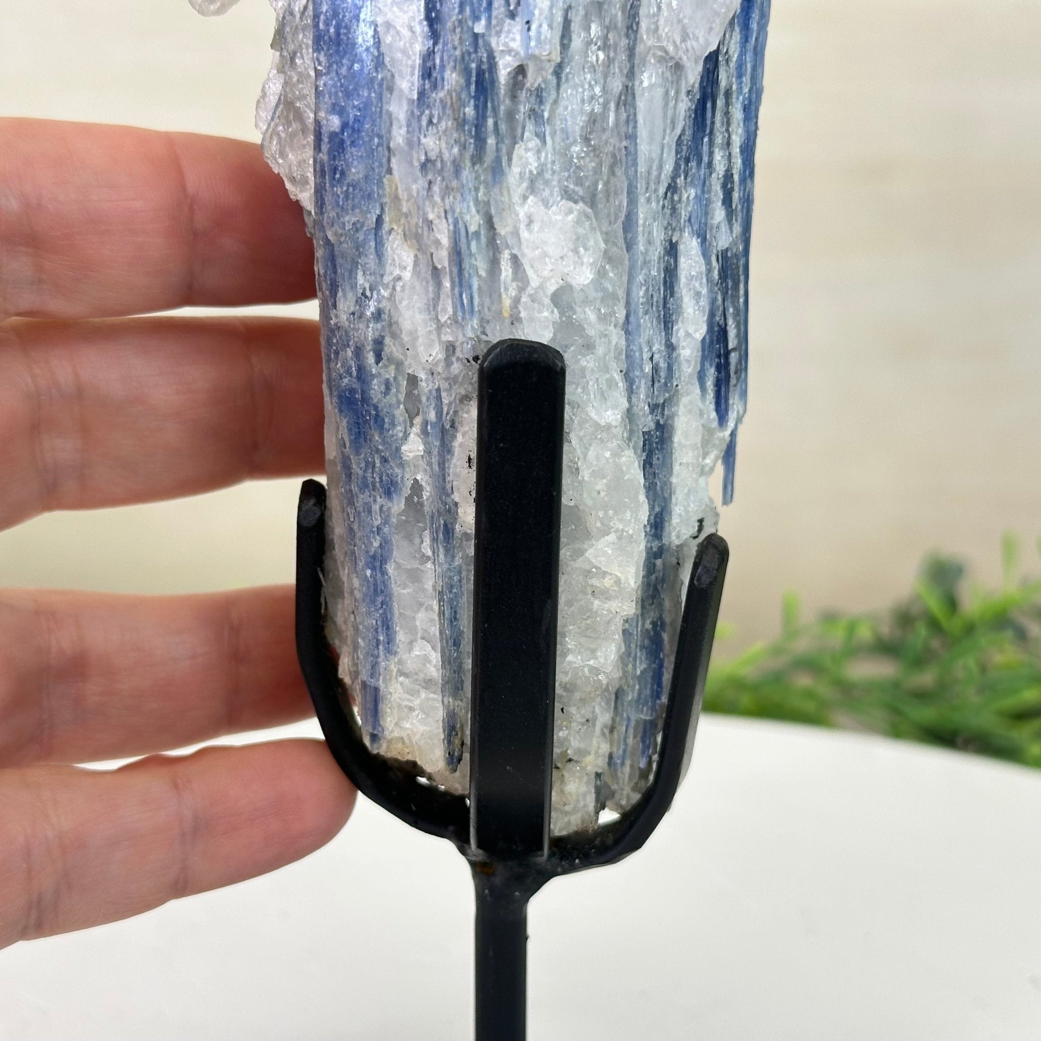 Kyanite Crystal on Metal Stand, 1.9 lbs & 9.7" Tall #6010 - 0005 - Brazil GemsBrazil GemsKyanite Crystal on Metal Stand, 1.9 lbs & 9.7" Tall #6010 - 0005Clusters on Fixed Bases6010 - 0005