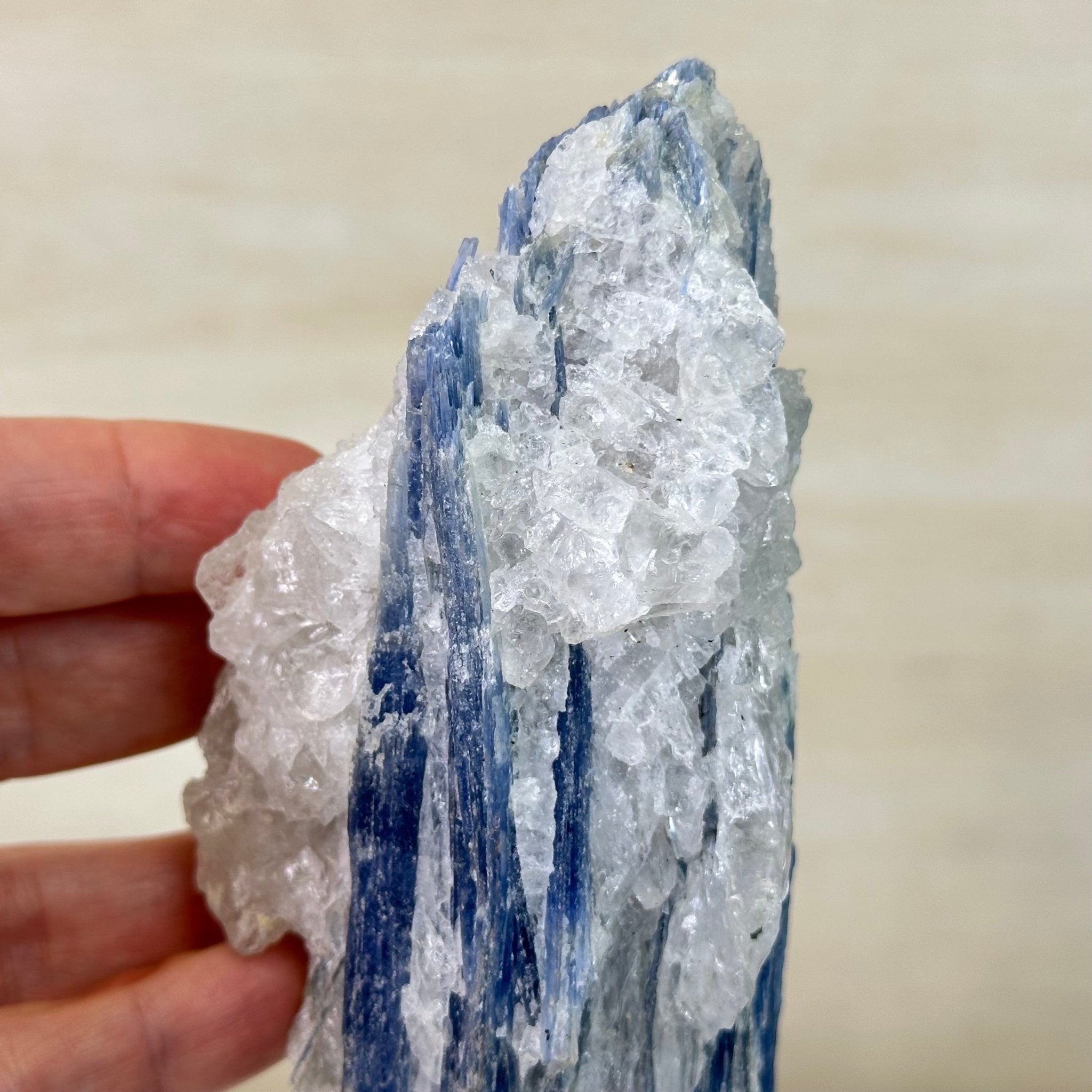 Kyanite Crystal on Metal Stand, 1.9 lbs & 9.7" Tall #6010 - 0005 - Brazil GemsBrazil GemsKyanite Crystal on Metal Stand, 1.9 lbs & 9.7" Tall #6010 - 0005Clusters on Fixed Bases6010 - 0005