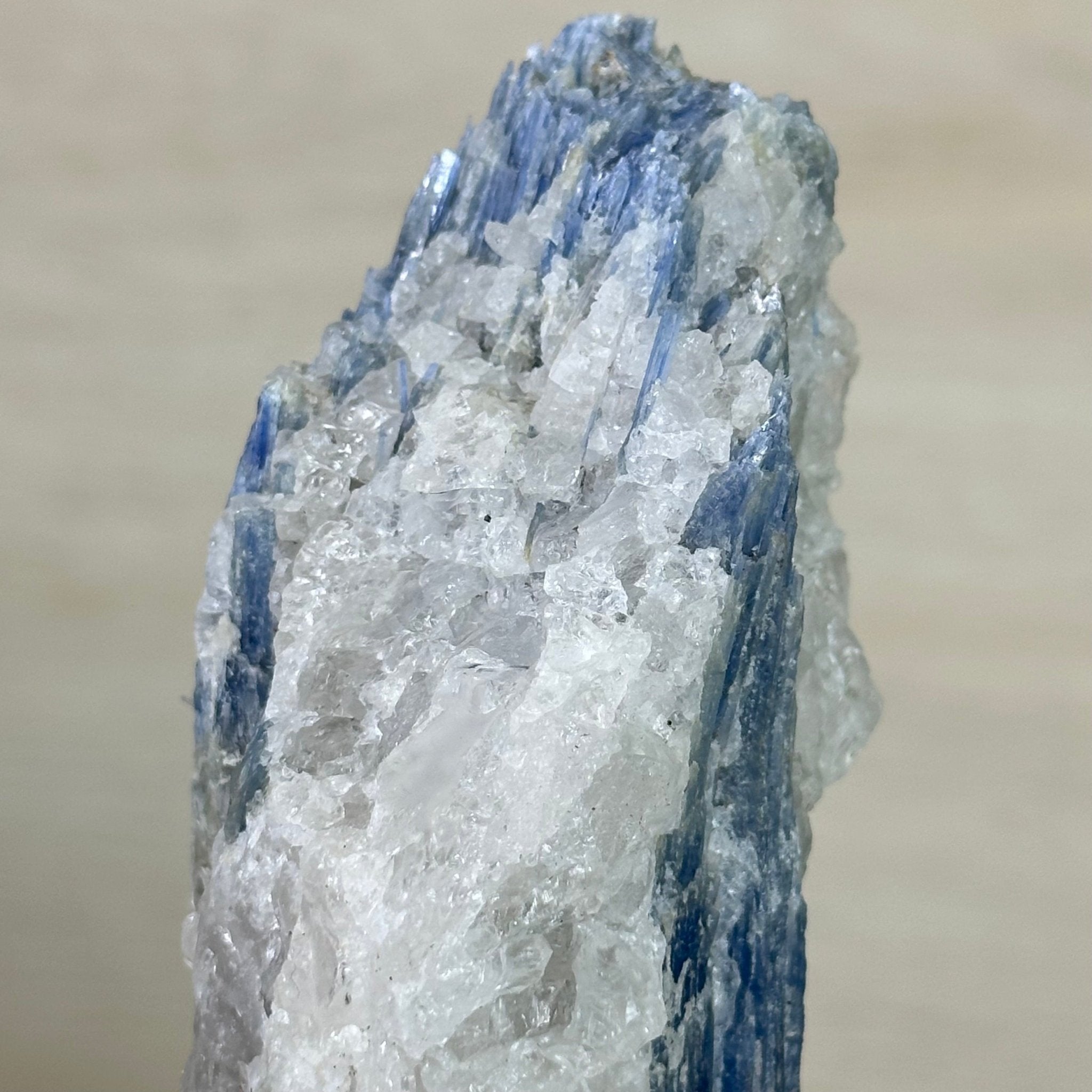 Kyanite Crystal on Metal Stand, 1.9 lbs & 9.7" Tall #6010 - 0005 - Brazil GemsBrazil GemsKyanite Crystal on Metal Stand, 1.9 lbs & 9.7" Tall #6010 - 0005Clusters on Fixed Bases6010 - 0005