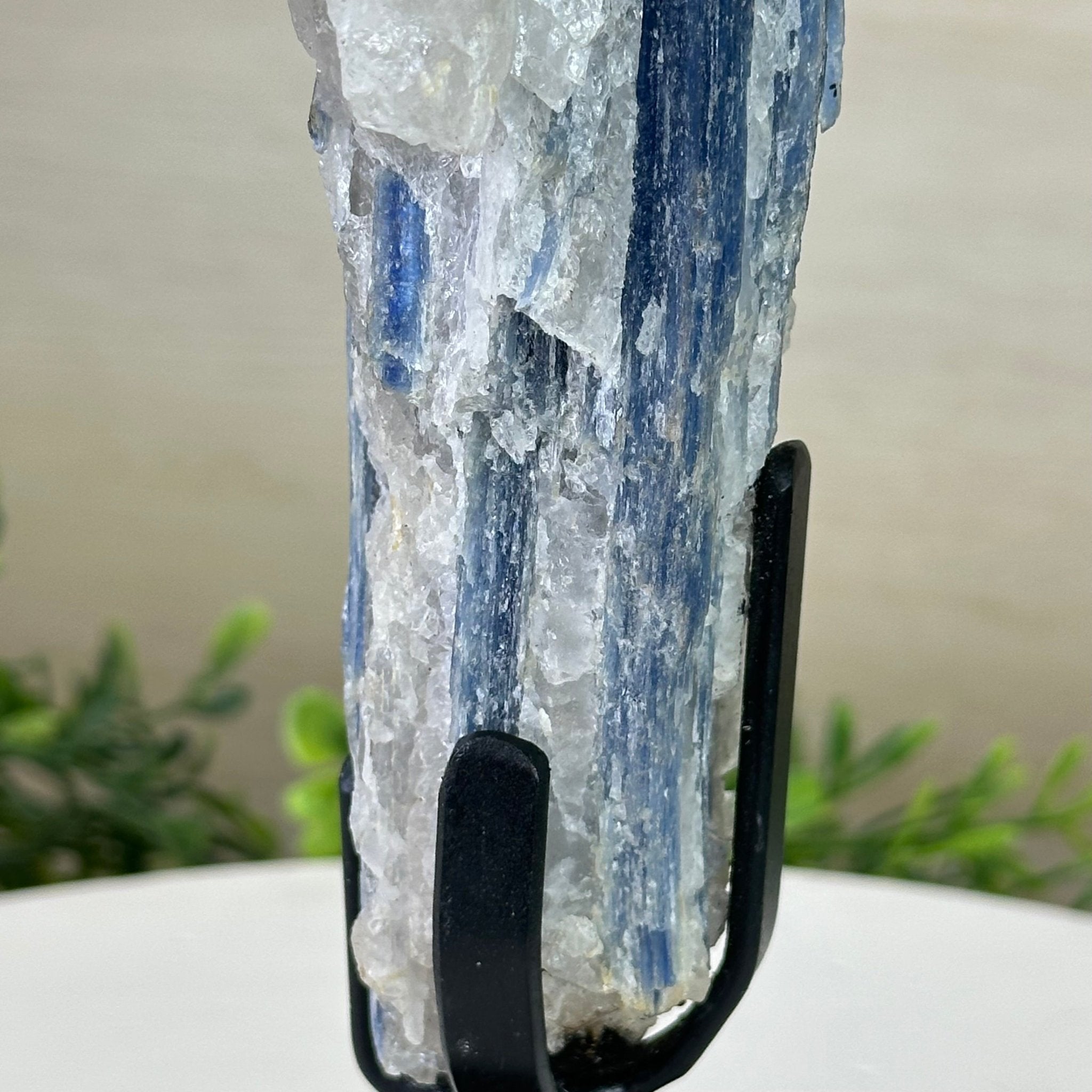 Kyanite Crystal on Metal Stand, 1.9 lbs & 9.7" Tall #6010 - 0005 - Brazil GemsBrazil GemsKyanite Crystal on Metal Stand, 1.9 lbs & 9.7" Tall #6010 - 0005Clusters on Fixed Bases6010 - 0005