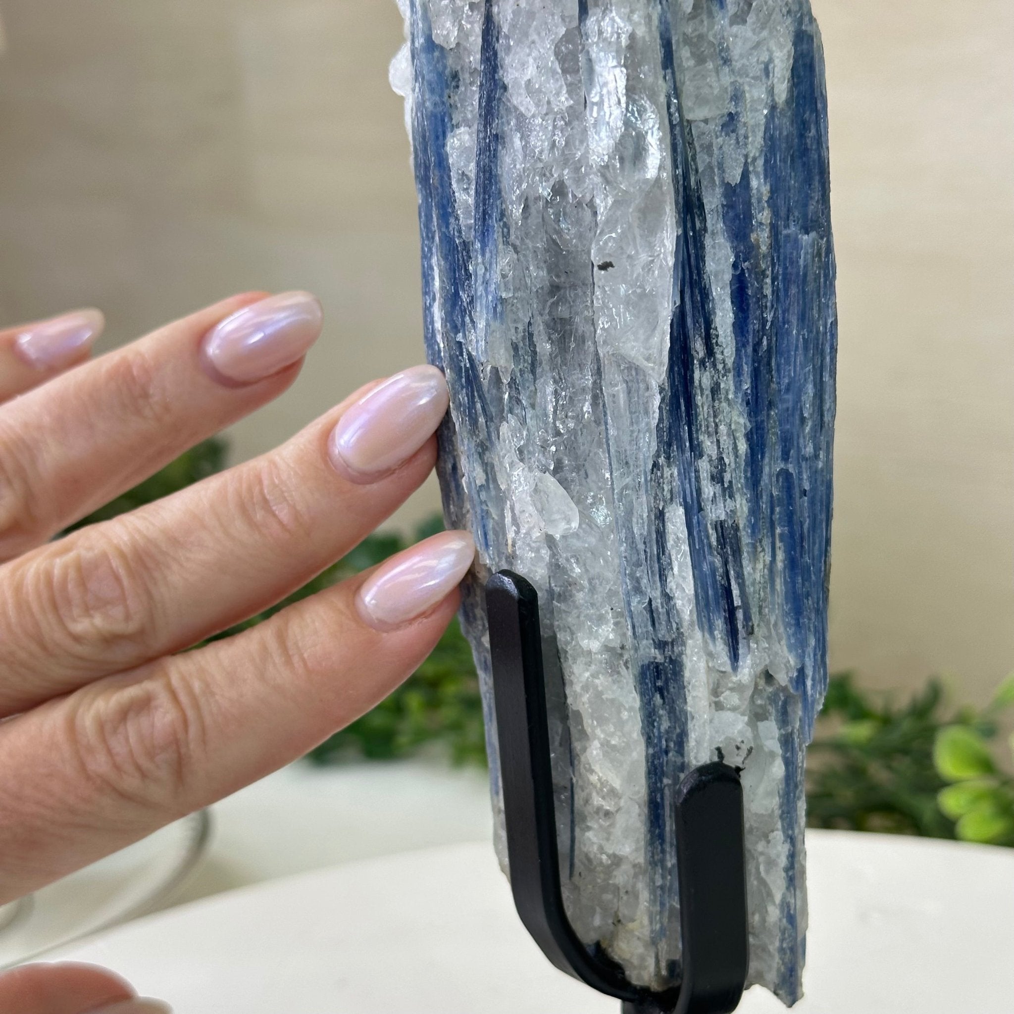 Kyanite Crystal on Metal Stand, 1.9 lbs & 9.7" Tall #6010 - 0005 - Brazil GemsBrazil GemsKyanite Crystal on Metal Stand, 1.9 lbs & 9.7" Tall #6010 - 0005Clusters on Fixed Bases6010 - 0005