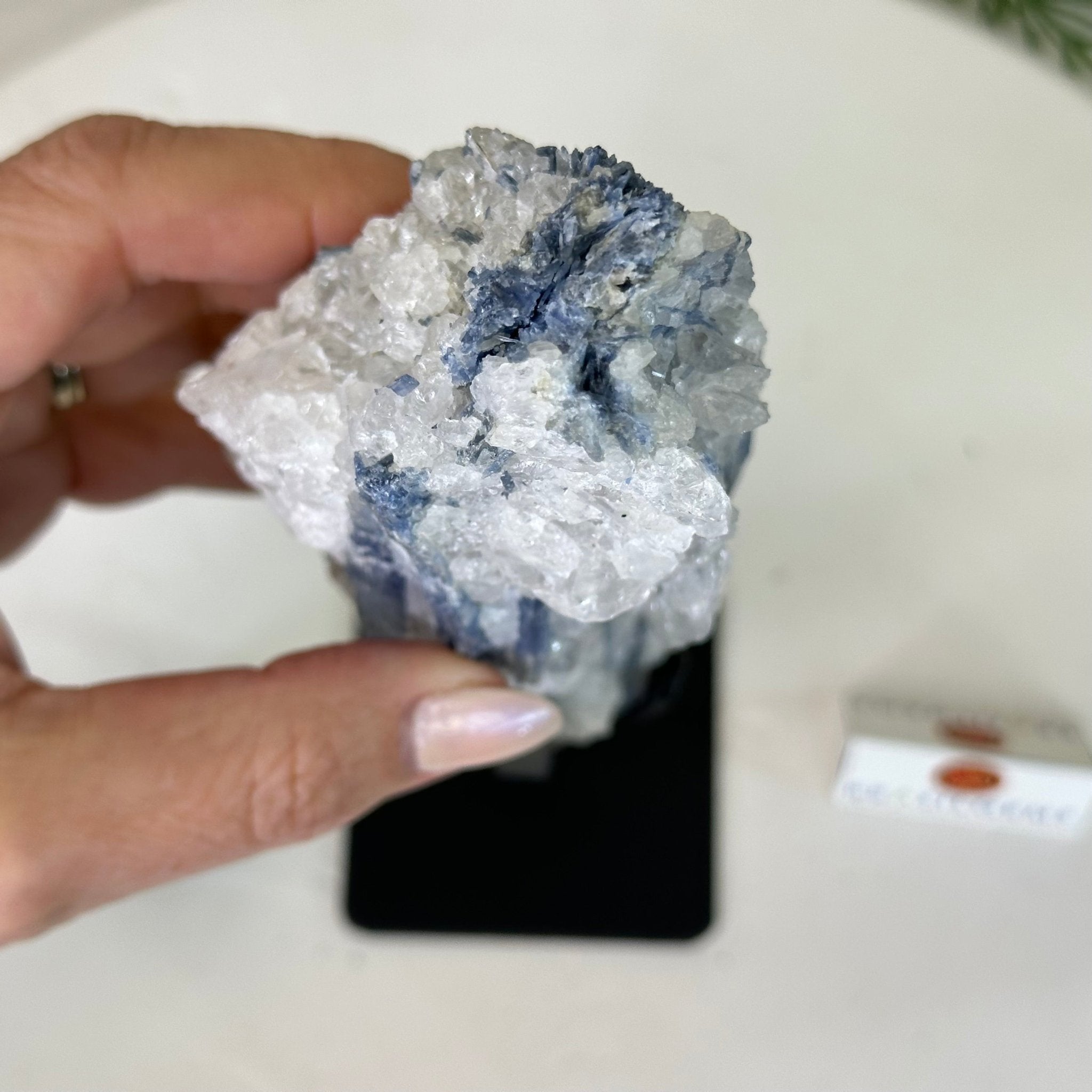 Kyanite Crystal on Metal Stand, 1.9 lbs & 9.7" Tall #6010 - 0005 - Brazil GemsBrazil GemsKyanite Crystal on Metal Stand, 1.9 lbs & 9.7" Tall #6010 - 0005Clusters on Fixed Bases6010 - 0005