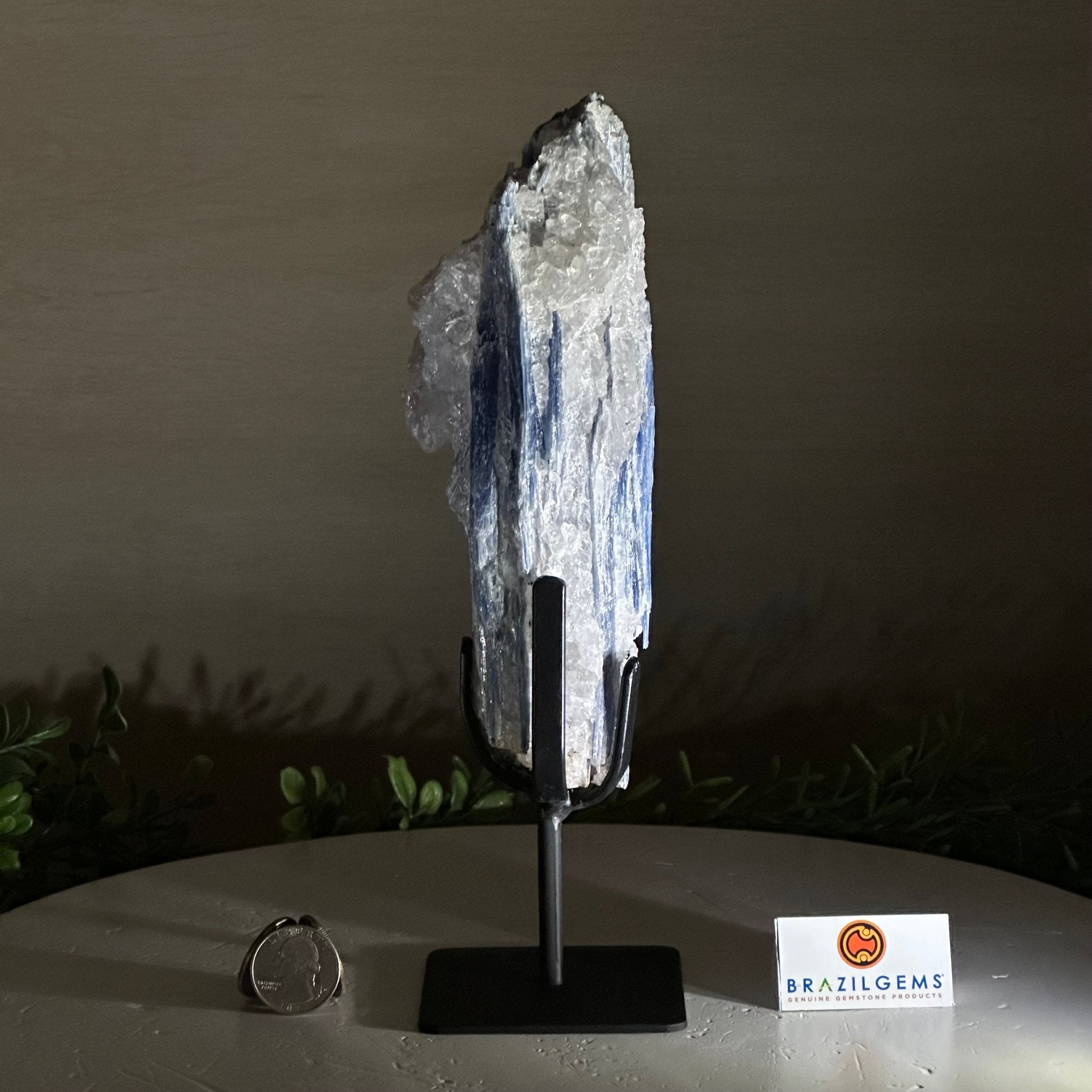 Kyanite Crystal on Metal Stand, 1.9 lbs & 9.7" Tall #6010 - 0005 - Brazil GemsBrazil GemsKyanite Crystal on Metal Stand, 1.9 lbs & 9.7" Tall #6010 - 0005Clusters on Fixed Bases6010 - 0005