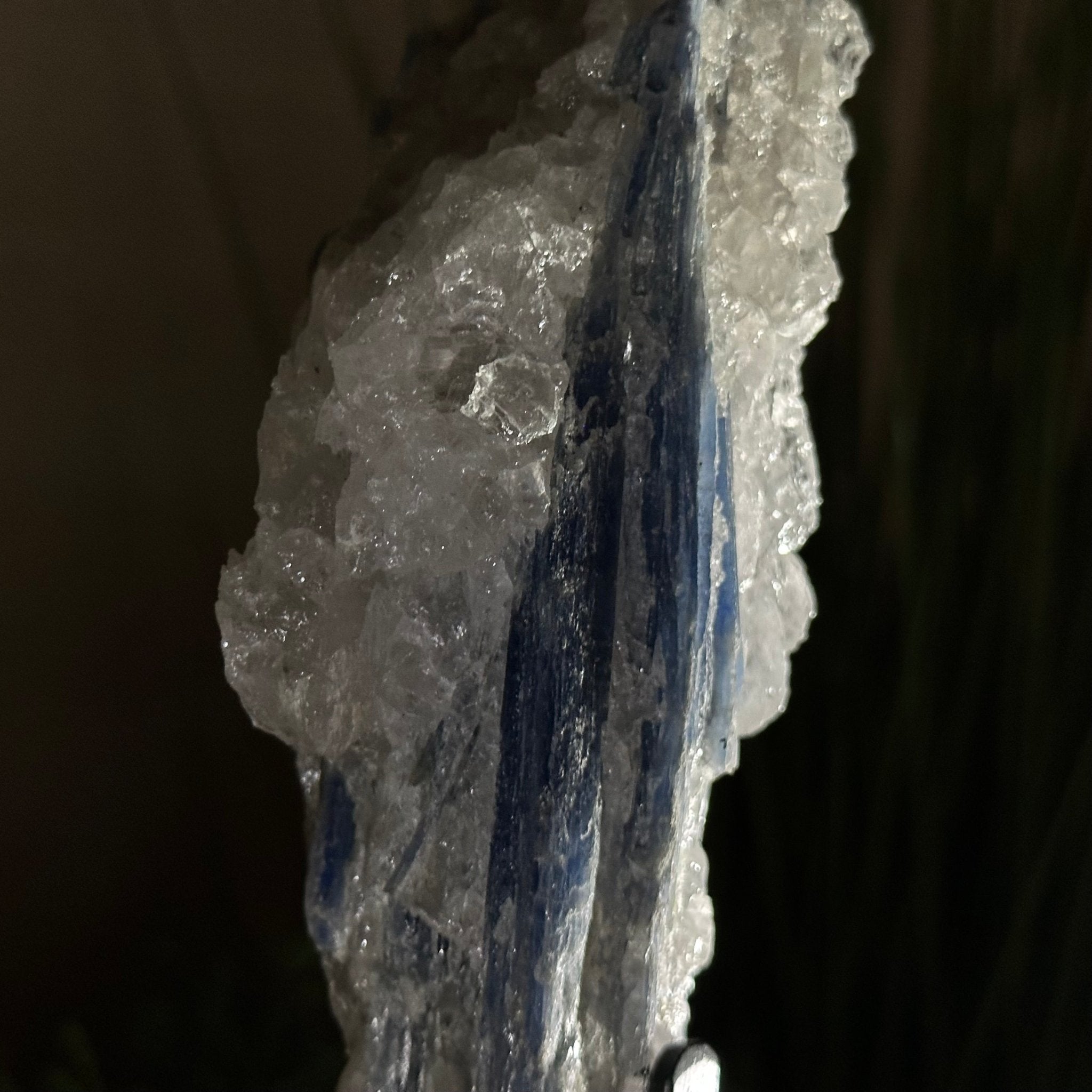 Kyanite Crystal on Metal Stand, 1.9 lbs & 9.7" Tall #6010 - 0005 - Brazil GemsBrazil GemsKyanite Crystal on Metal Stand, 1.9 lbs & 9.7" Tall #6010 - 0005Clusters on Fixed Bases6010 - 0005