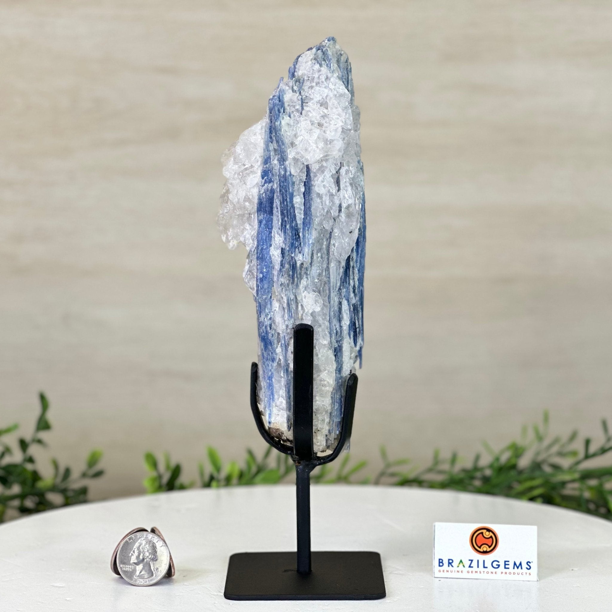 Kyanite Crystal on Metal Stand, 1.9 lbs & 9.7" Tall #6010 - 0005 - Brazil GemsBrazil GemsKyanite Crystal on Metal Stand, 1.9 lbs & 9.7" Tall #6010 - 0005Clusters on Fixed Bases6010 - 0005