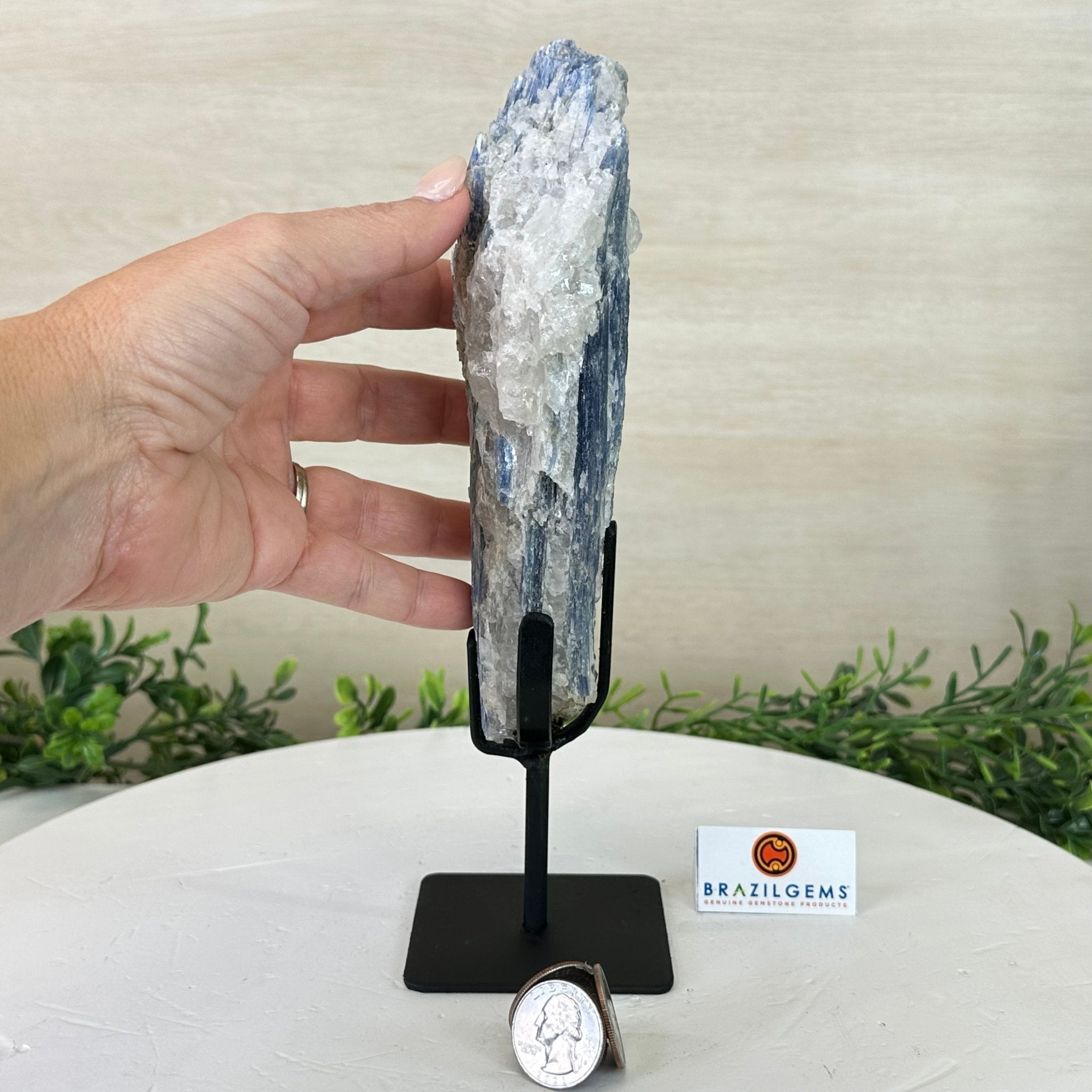 Kyanite Crystal on Metal Stand, 1.9 lbs & 9.7" Tall #6010 - 0005 - Brazil GemsBrazil GemsKyanite Crystal on Metal Stand, 1.9 lbs & 9.7" Tall #6010 - 0005Clusters on Fixed Bases6010 - 0005