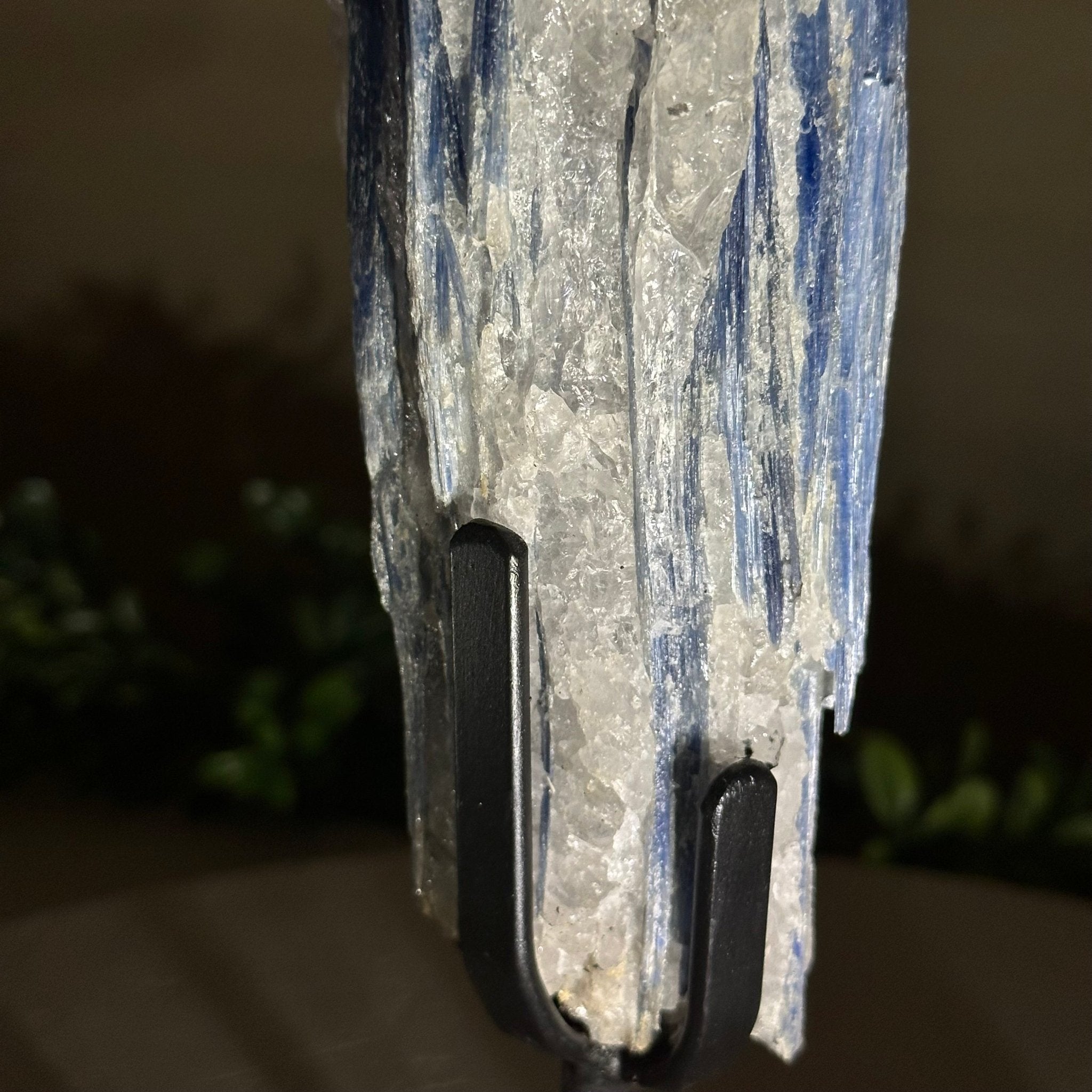 Kyanite Crystal on Metal Stand, 1.9 lbs & 9.7" Tall #6010 - 0005 - Brazil GemsBrazil GemsKyanite Crystal on Metal Stand, 1.9 lbs & 9.7" Tall #6010 - 0005Clusters on Fixed Bases6010 - 0005