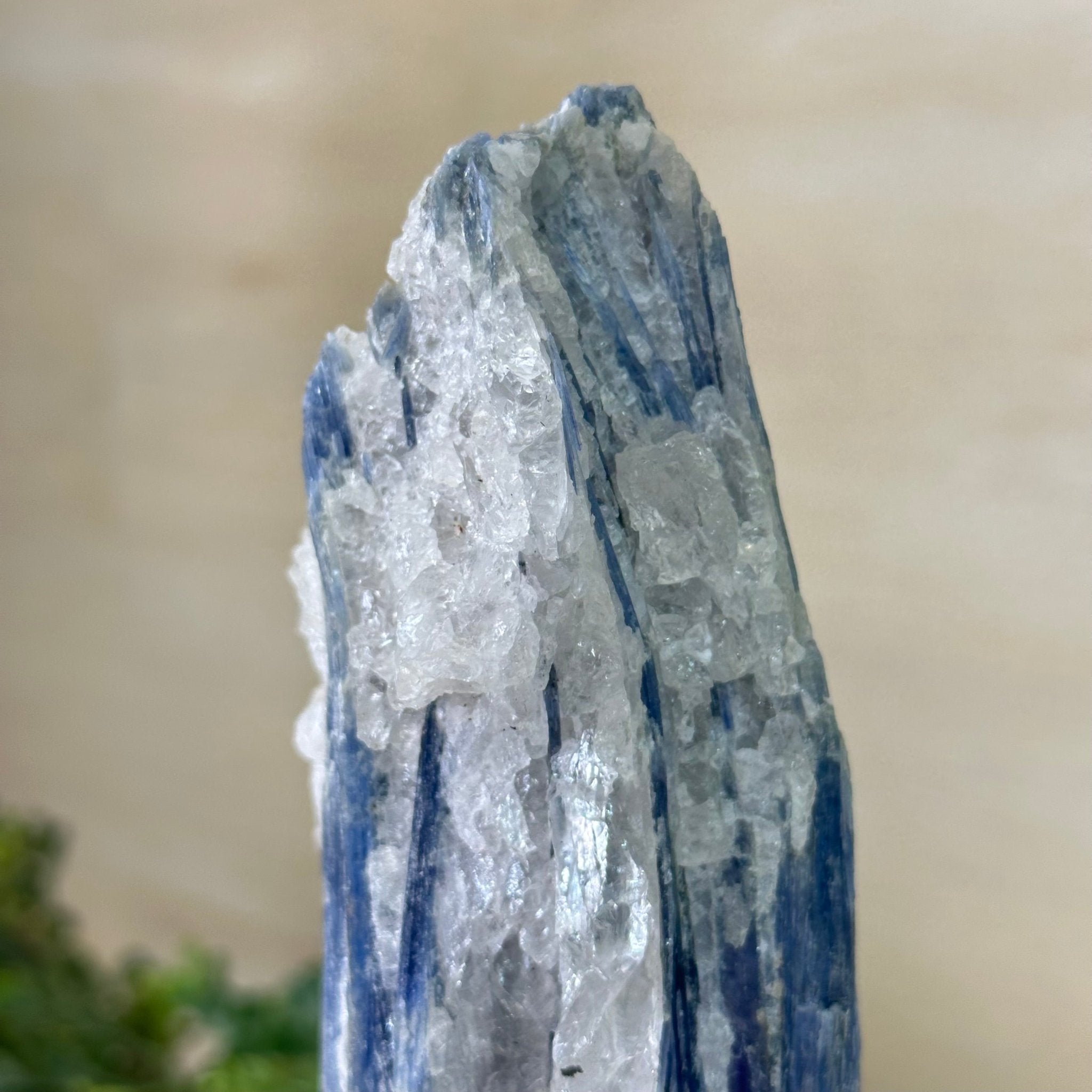 Kyanite Crystal on Metal Stand, 1.9 lbs & 9.7" Tall #6010 - 0005 - Brazil GemsBrazil GemsKyanite Crystal on Metal Stand, 1.9 lbs & 9.7" Tall #6010 - 0005Clusters on Fixed Bases6010 - 0005