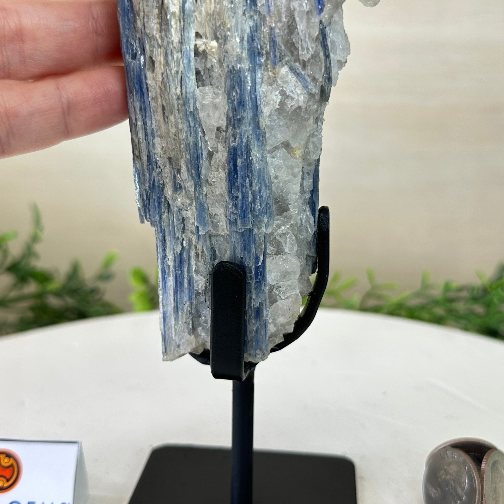 Kyanite Crystal on Metal Stand, 1.9 lbs & 9.7" Tall #6010 - 0005 - Brazil GemsBrazil GemsKyanite Crystal on Metal Stand, 1.9 lbs & 9.7" Tall #6010 - 0005Clusters on Fixed Bases6010 - 0005