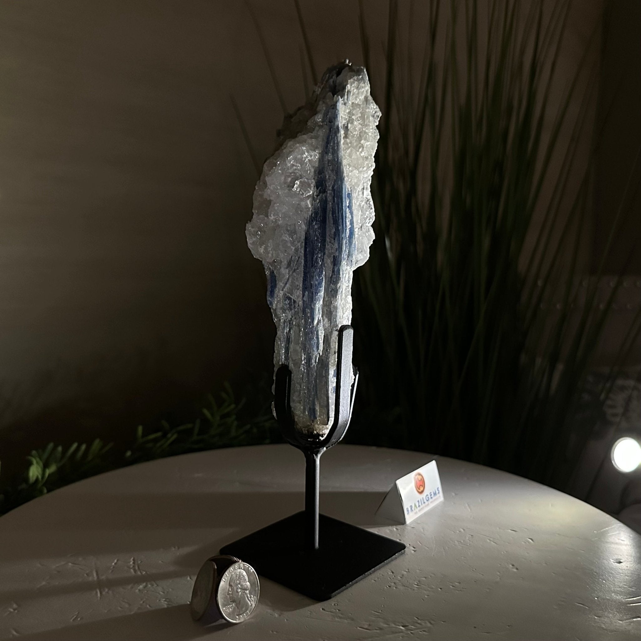 Kyanite Crystal on Metal Stand, 1.9 lbs & 9.7" Tall #6010 - 0005 - Brazil GemsBrazil GemsKyanite Crystal on Metal Stand, 1.9 lbs & 9.7" Tall #6010 - 0005Clusters on Fixed Bases6010 - 0005