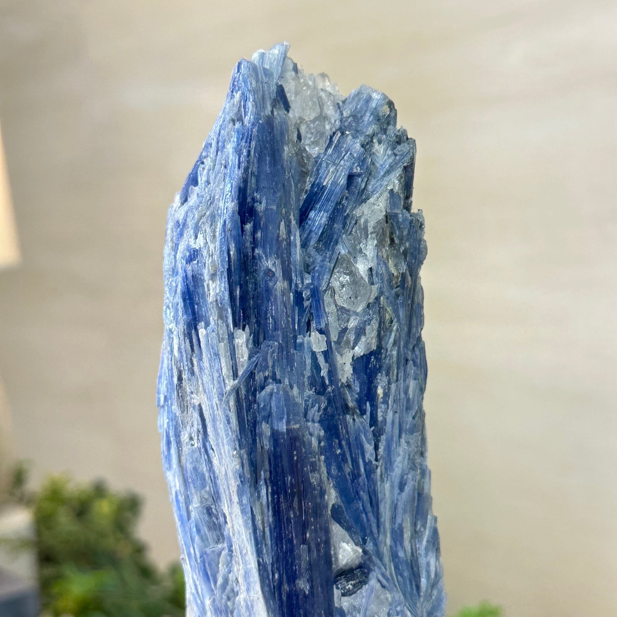 Kyanite Crystal on Metal Stand, 1.9 lbs & 9.8" Tall #6010 - 0006 - Brazil GemsBrazil GemsKyanite Crystal on Metal Stand, 1.9 lbs & 9.8" Tall #6010 - 0006Clusters on Fixed Bases6010 - 0006