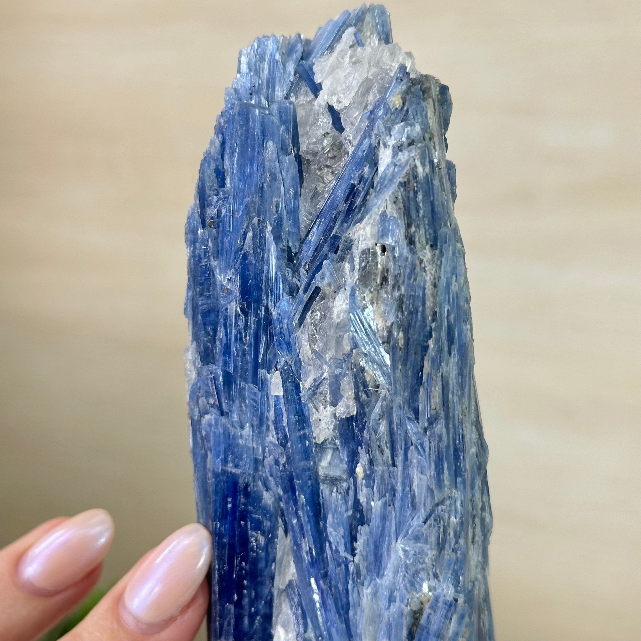 Kyanite Crystal on Metal Stand, 1.9 lbs & 9.8" Tall #6010 - 0006 - Brazil GemsBrazil GemsKyanite Crystal on Metal Stand, 1.9 lbs & 9.8" Tall #6010 - 0006Clusters on Fixed Bases6010 - 0006