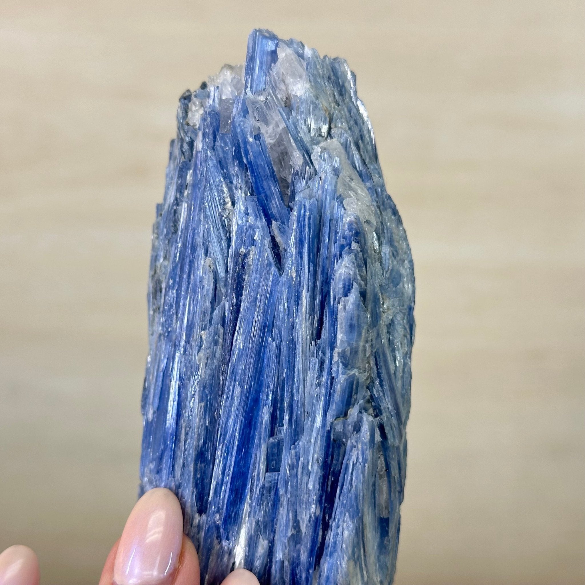 Kyanite Crystal on Metal Stand, 1.9 lbs & 9.8" Tall #6010 - 0006 - Brazil GemsBrazil GemsKyanite Crystal on Metal Stand, 1.9 lbs & 9.8" Tall #6010 - 0006Clusters on Fixed Bases6010 - 0006