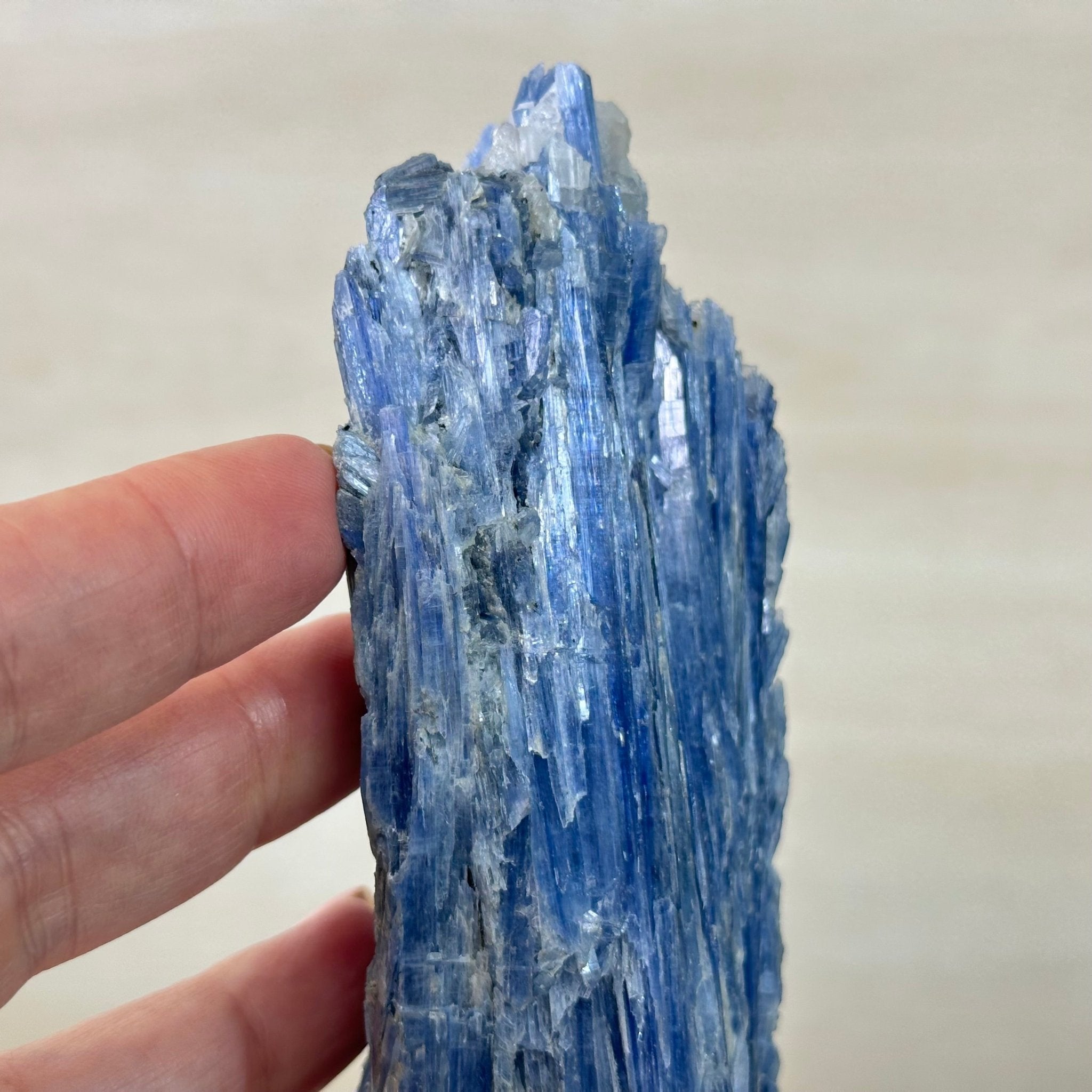 Kyanite Crystal on Metal Stand, 1.9 lbs & 9.8" Tall #6010 - 0006 - Brazil GemsBrazil GemsKyanite Crystal on Metal Stand, 1.9 lbs & 9.8" Tall #6010 - 0006Clusters on Fixed Bases6010 - 0006