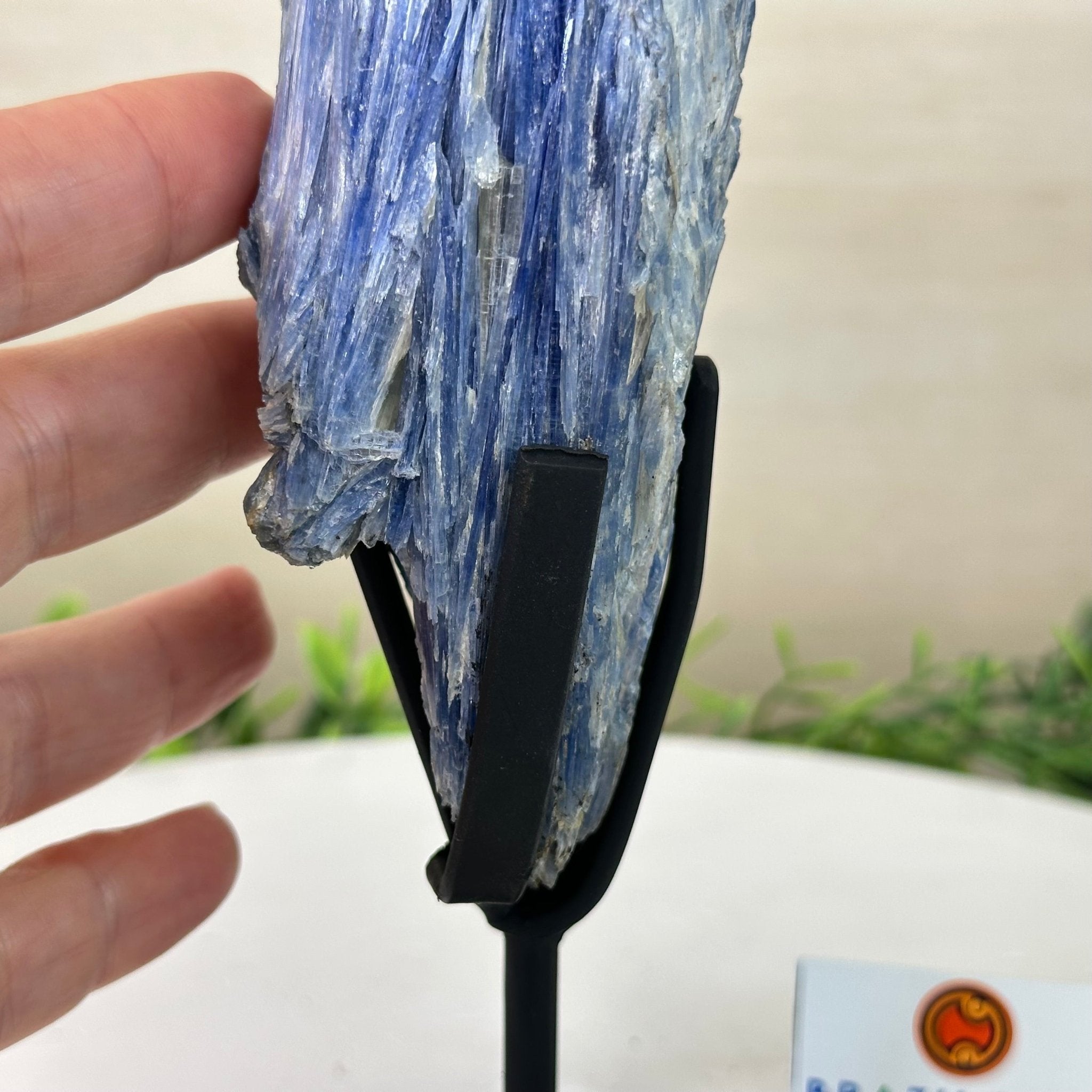 Kyanite Crystal on Metal Stand, 1.9 lbs & 9.8" Tall #6010 - 0006 - Brazil GemsBrazil GemsKyanite Crystal on Metal Stand, 1.9 lbs & 9.8" Tall #6010 - 0006Clusters on Fixed Bases6010 - 0006