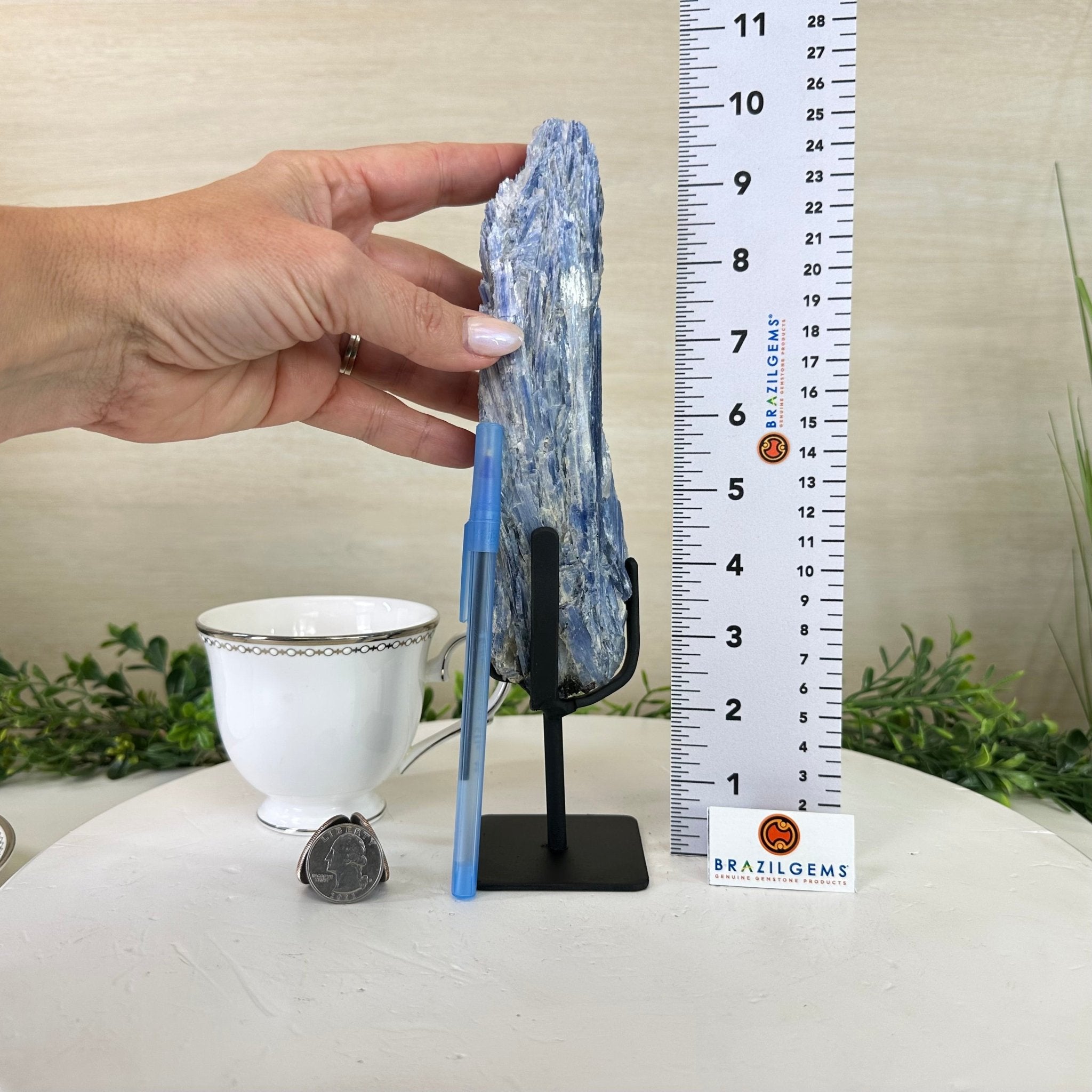 Kyanite Crystal on Metal Stand, 1.9 lbs & 9.8" Tall #6010 - 0006 - Brazil GemsBrazil GemsKyanite Crystal on Metal Stand, 1.9 lbs & 9.8" Tall #6010 - 0006Clusters on Fixed Bases6010 - 0006