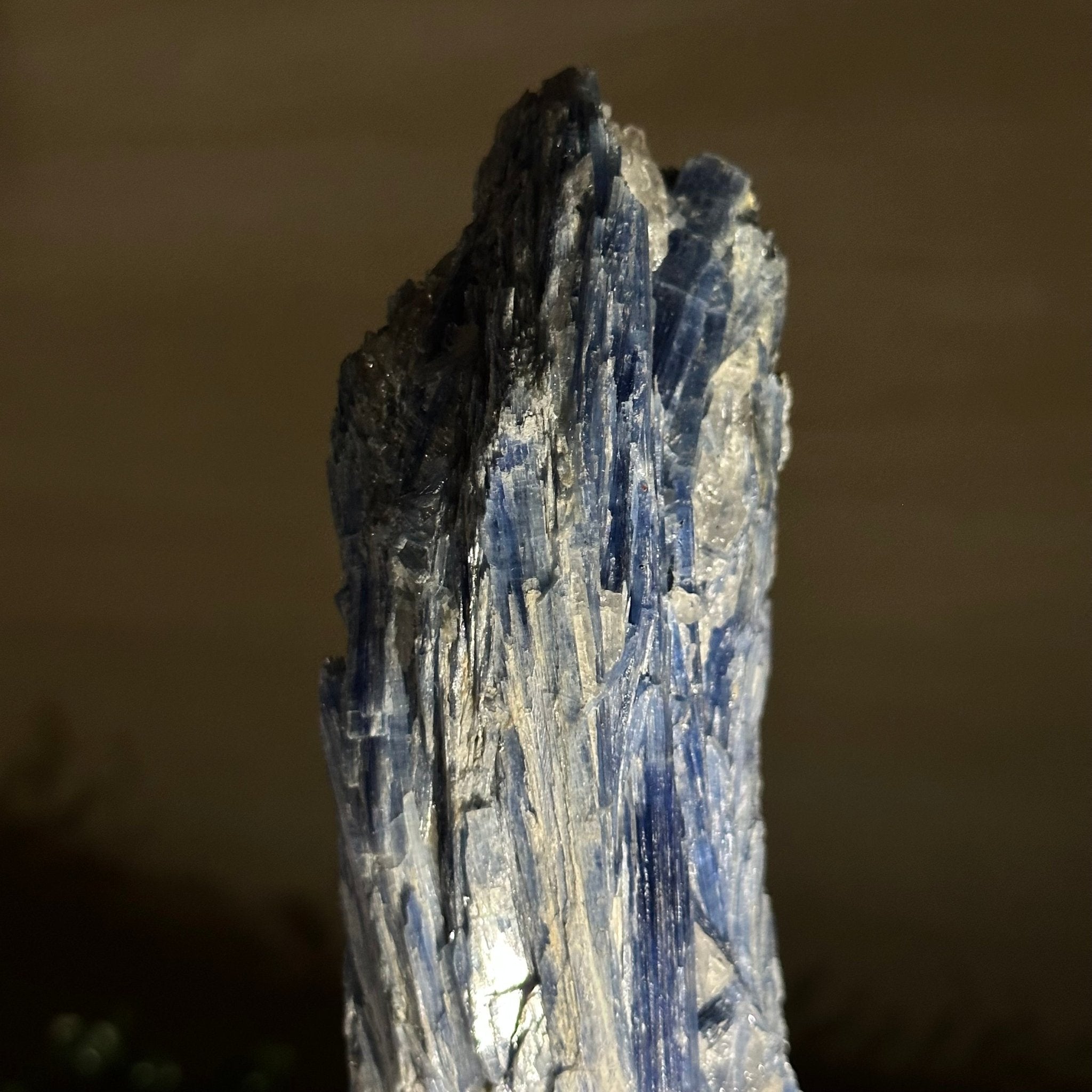 Kyanite Crystal on Metal Stand, 1.9 lbs & 9.8" Tall #6010 - 0006 - Brazil GemsBrazil GemsKyanite Crystal on Metal Stand, 1.9 lbs & 9.8" Tall #6010 - 0006Clusters on Fixed Bases6010 - 0006